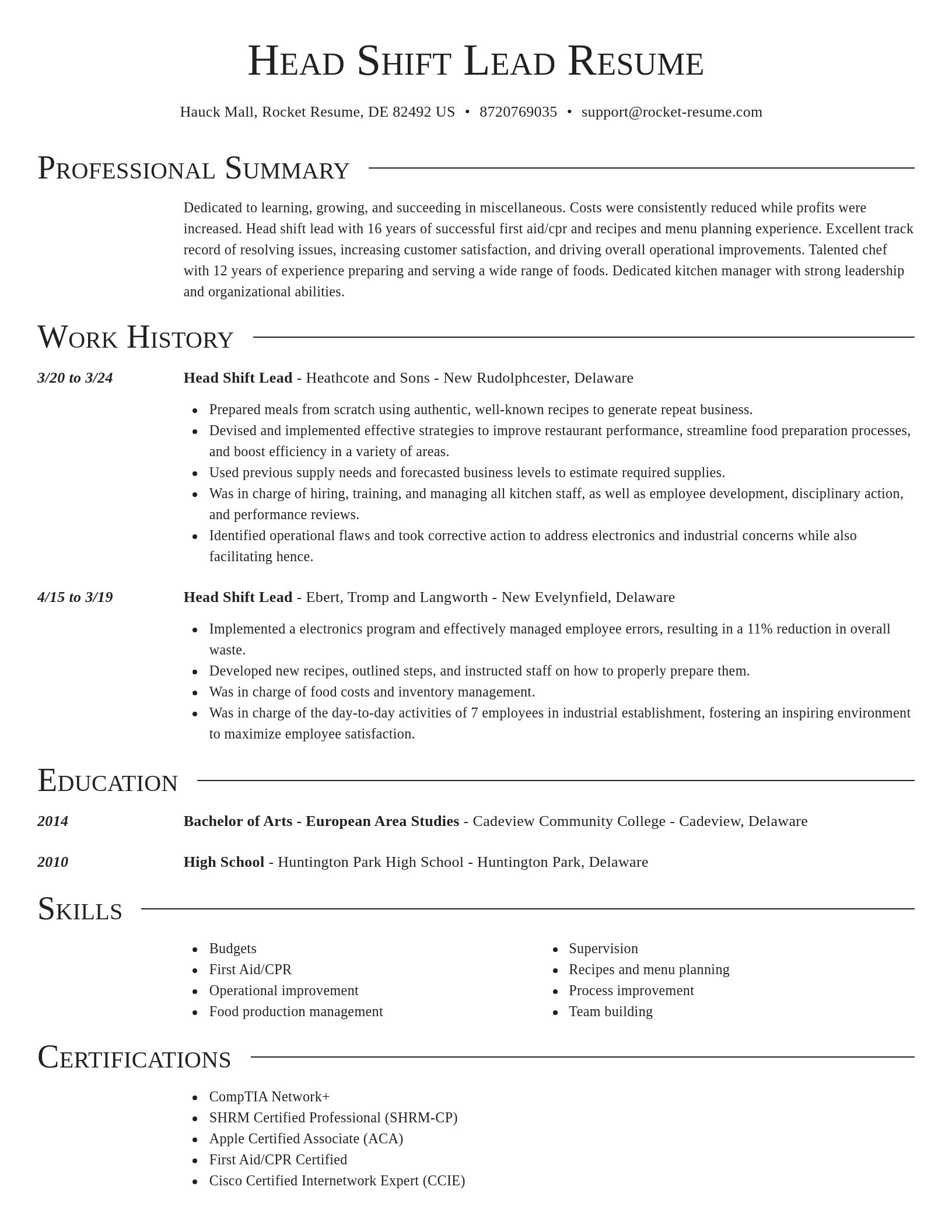 Director resume template