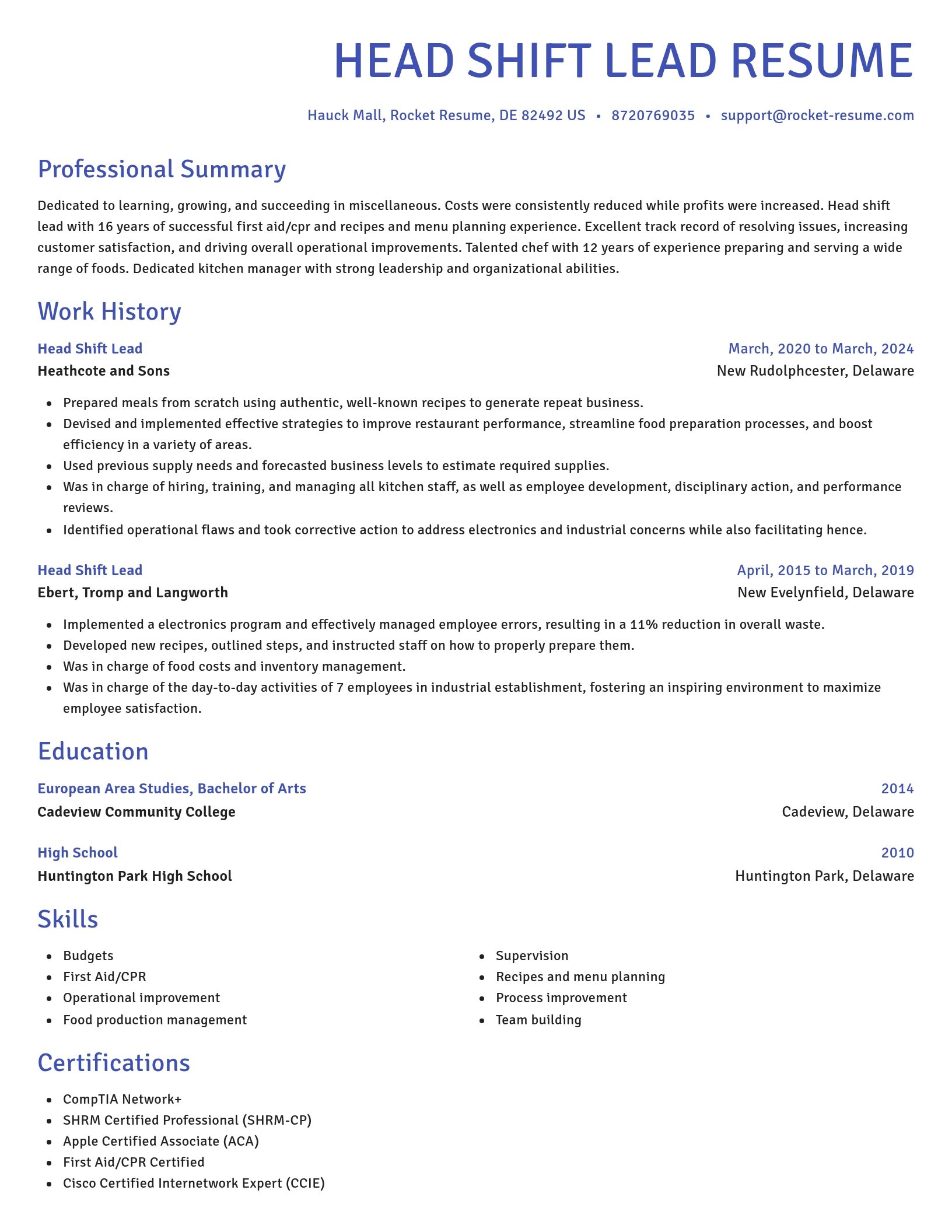 Novel resume template