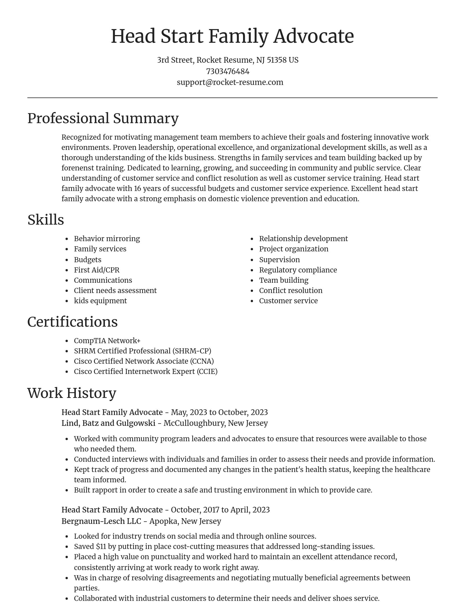 Focal Point resume template
