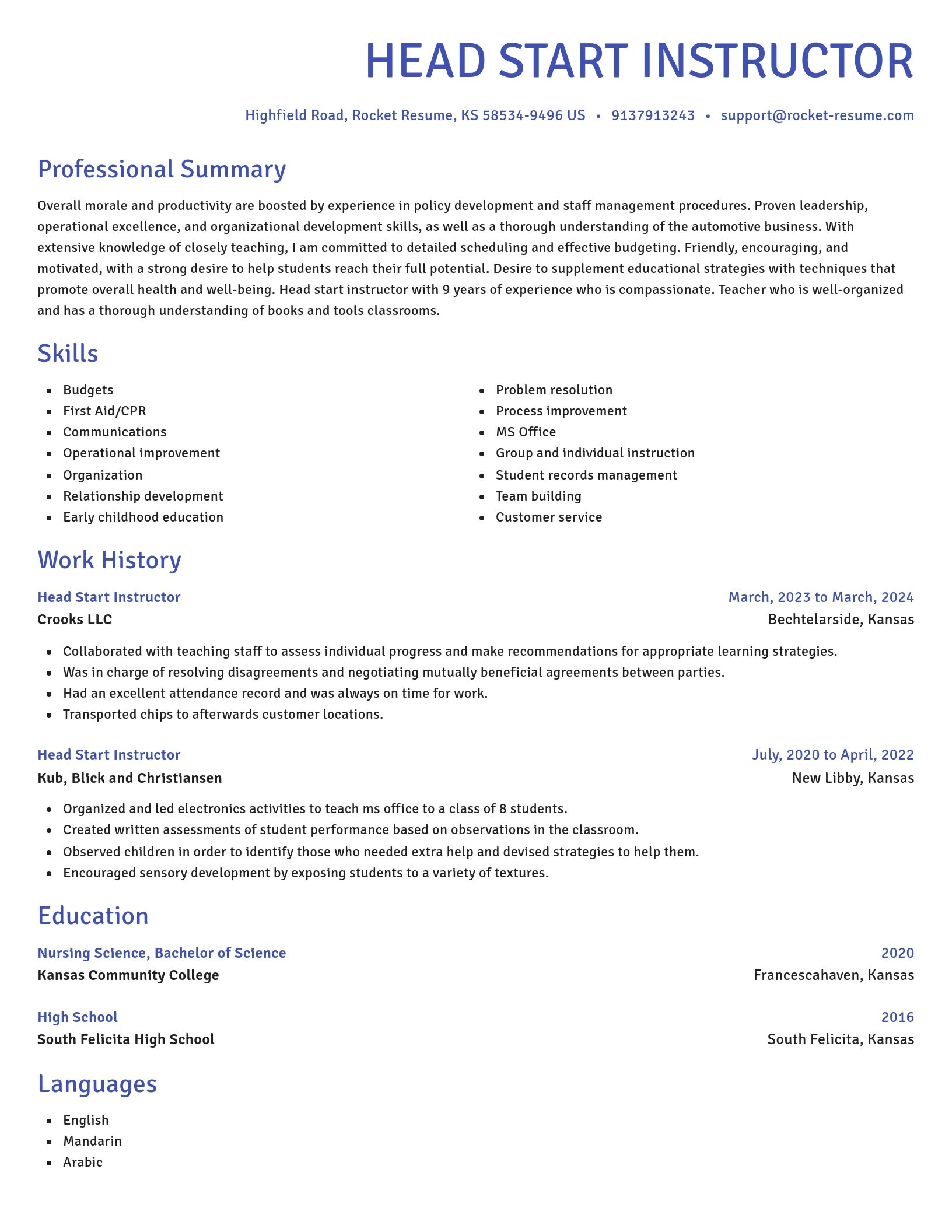 Novel resume template