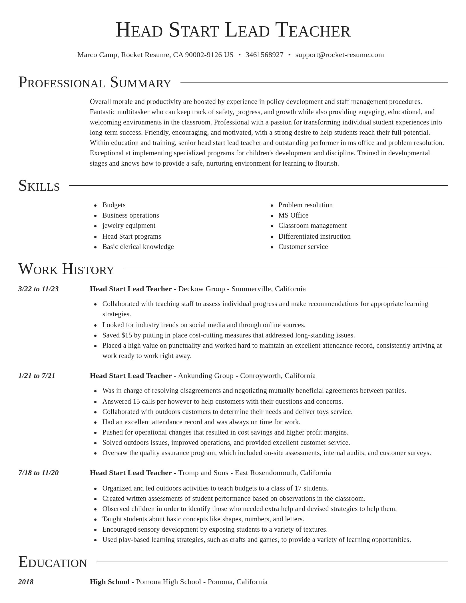 Director resume template
