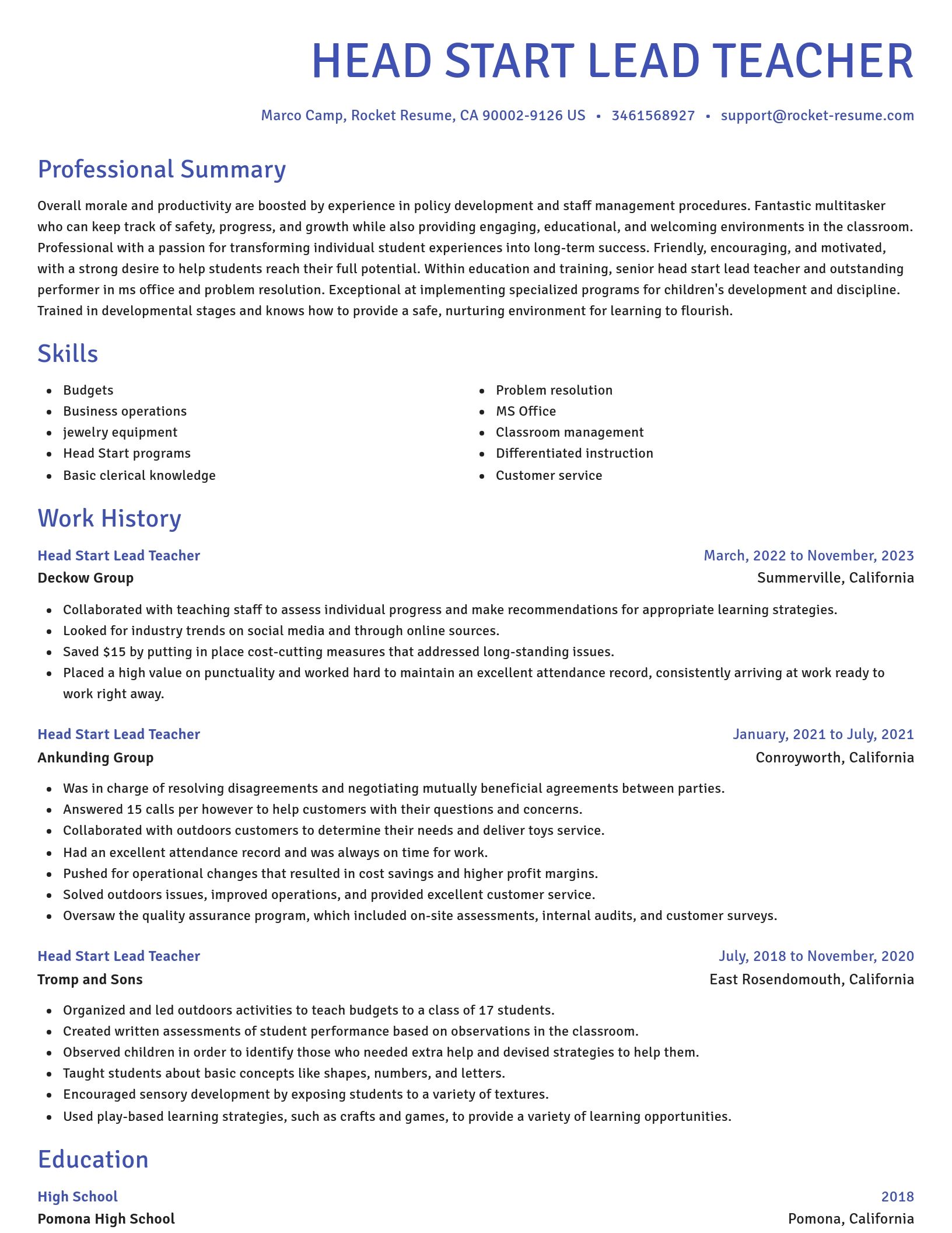 Novel resume template