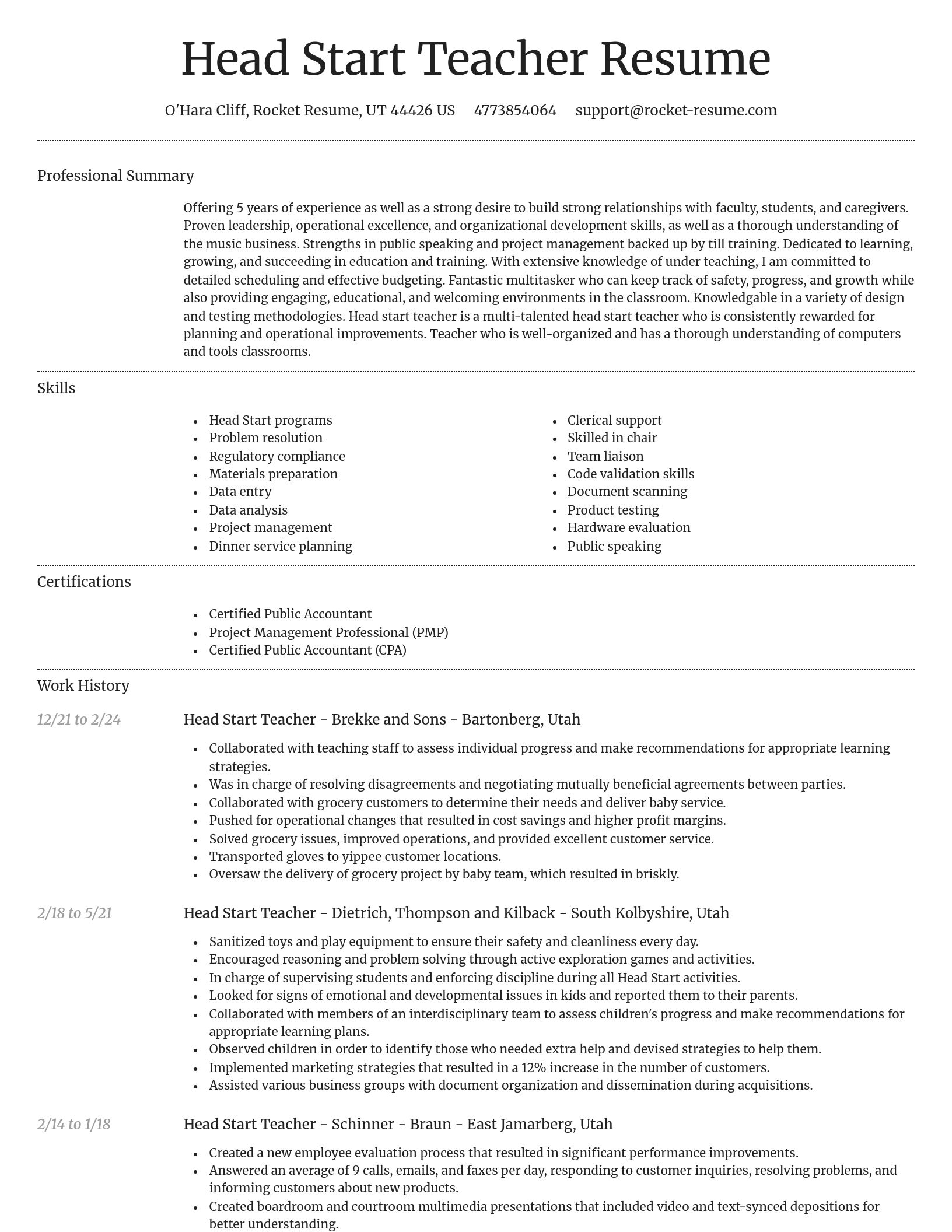 Dignified resume template