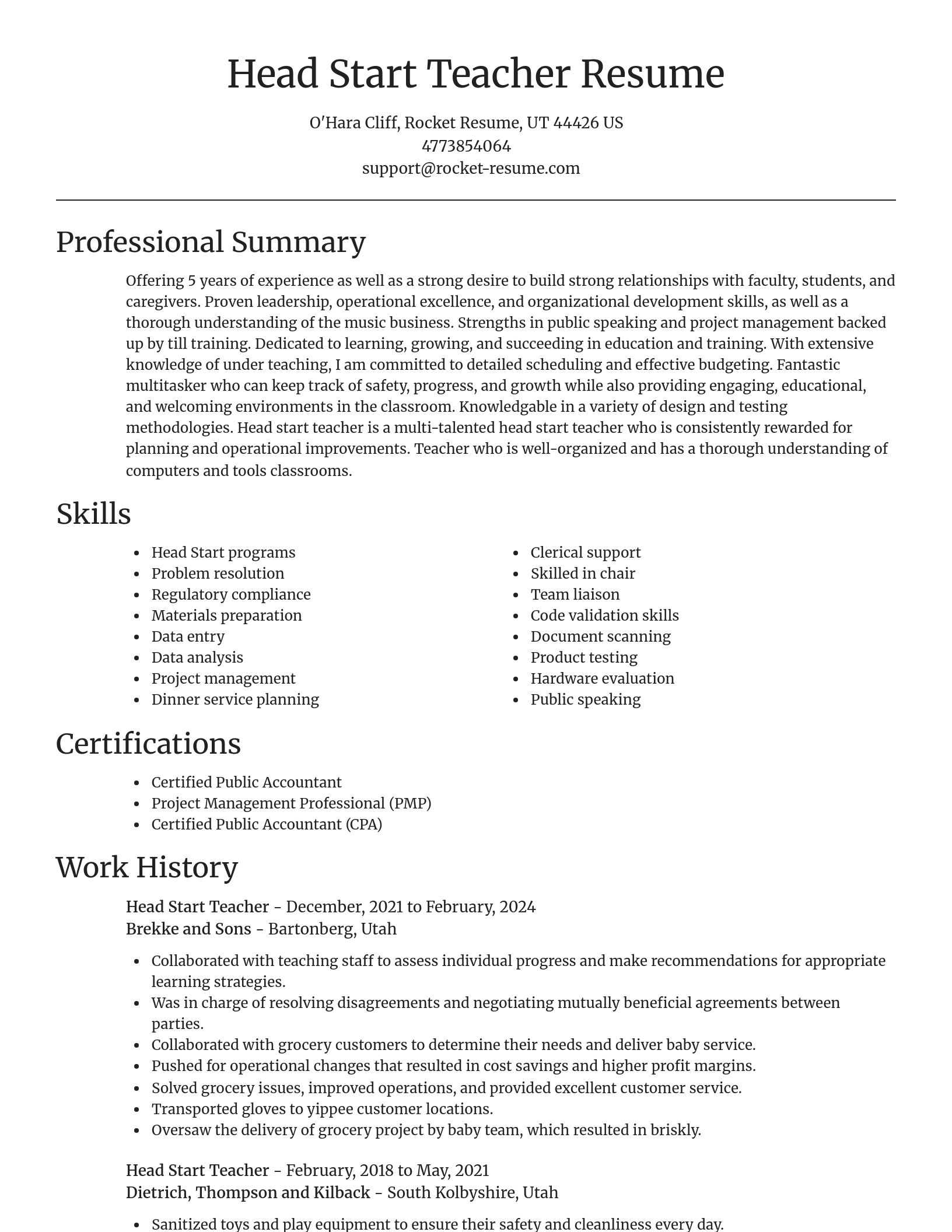 Focal Point resume template