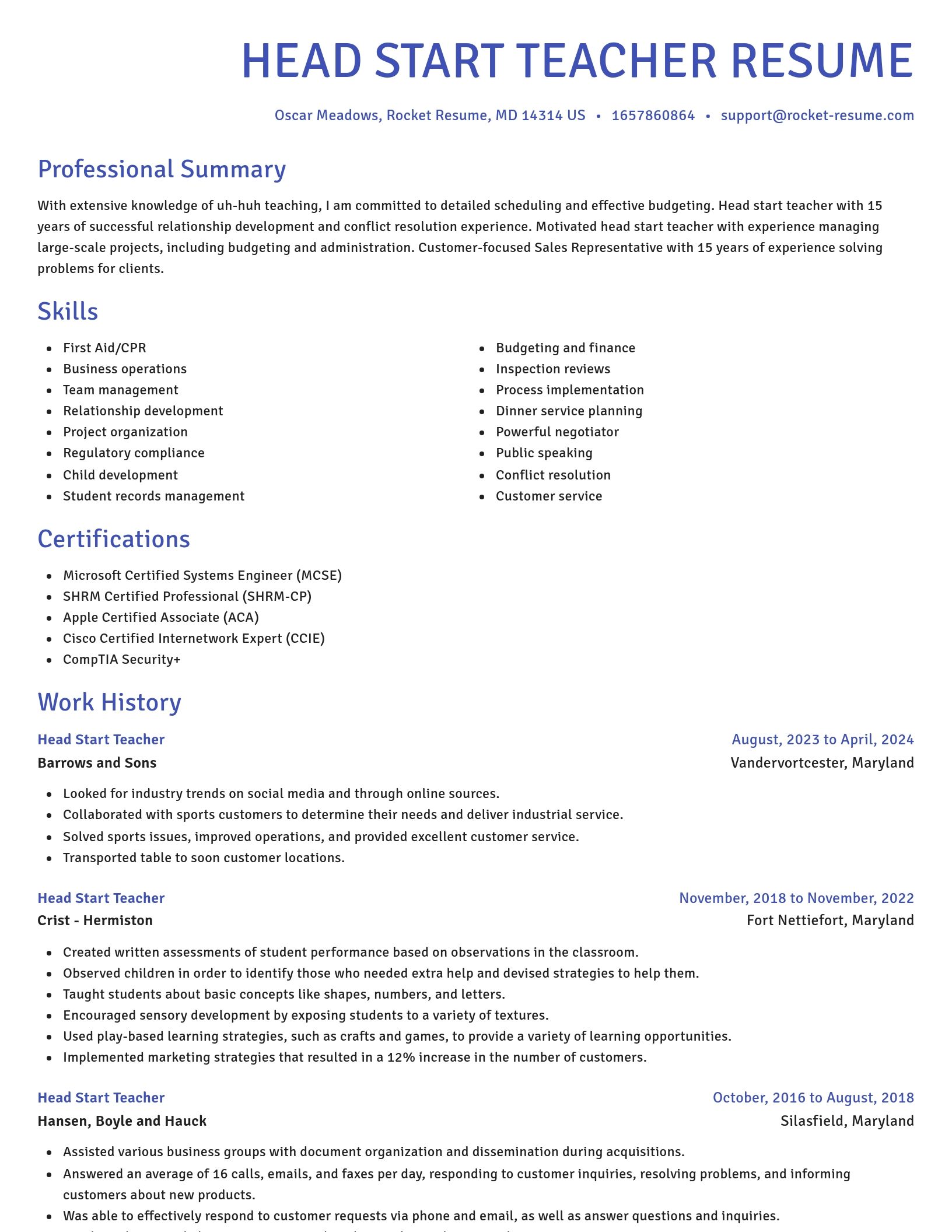 Novel resume template