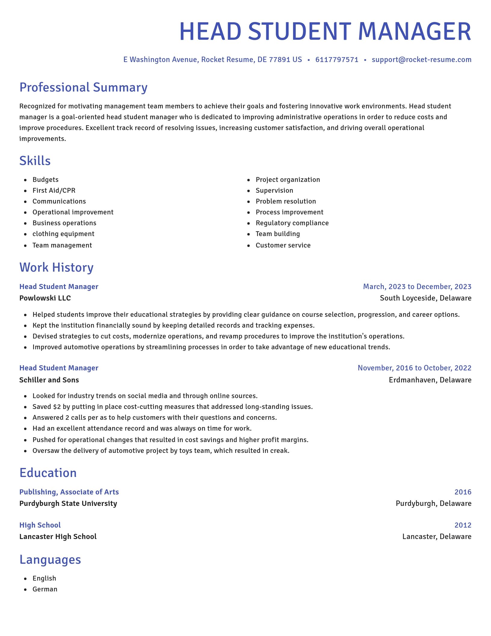Novel resume template