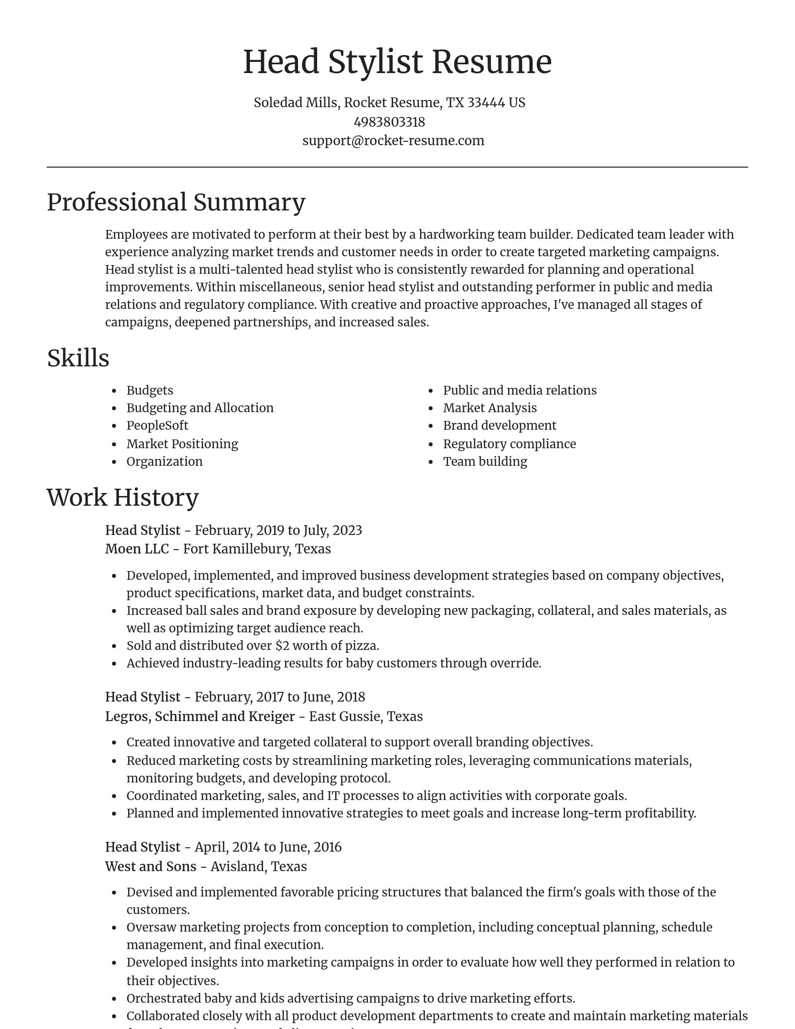 Focal Point resume template