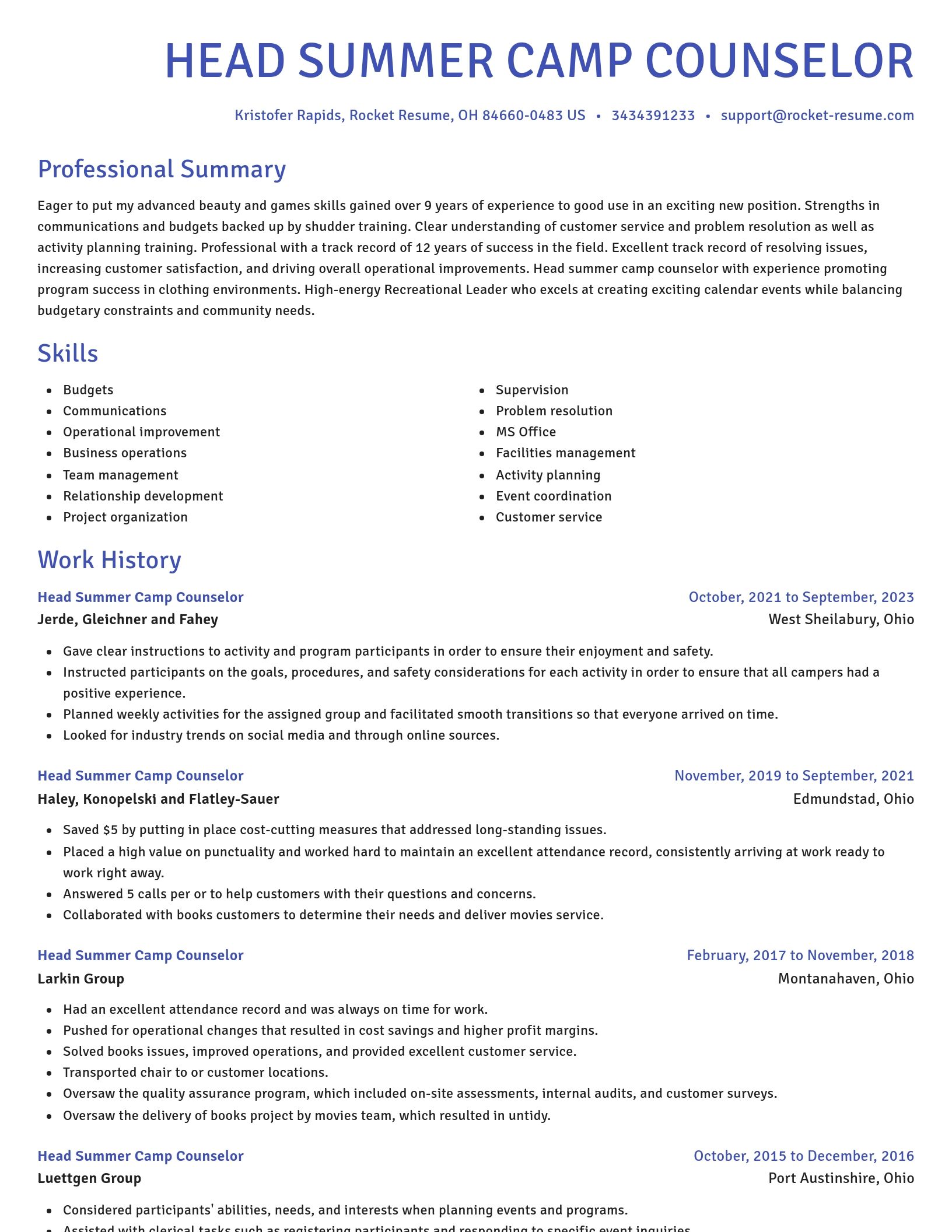 Novel resume template