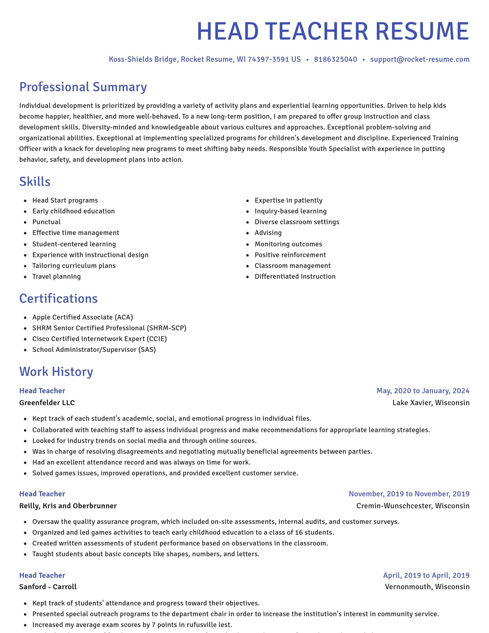 Novel resume template