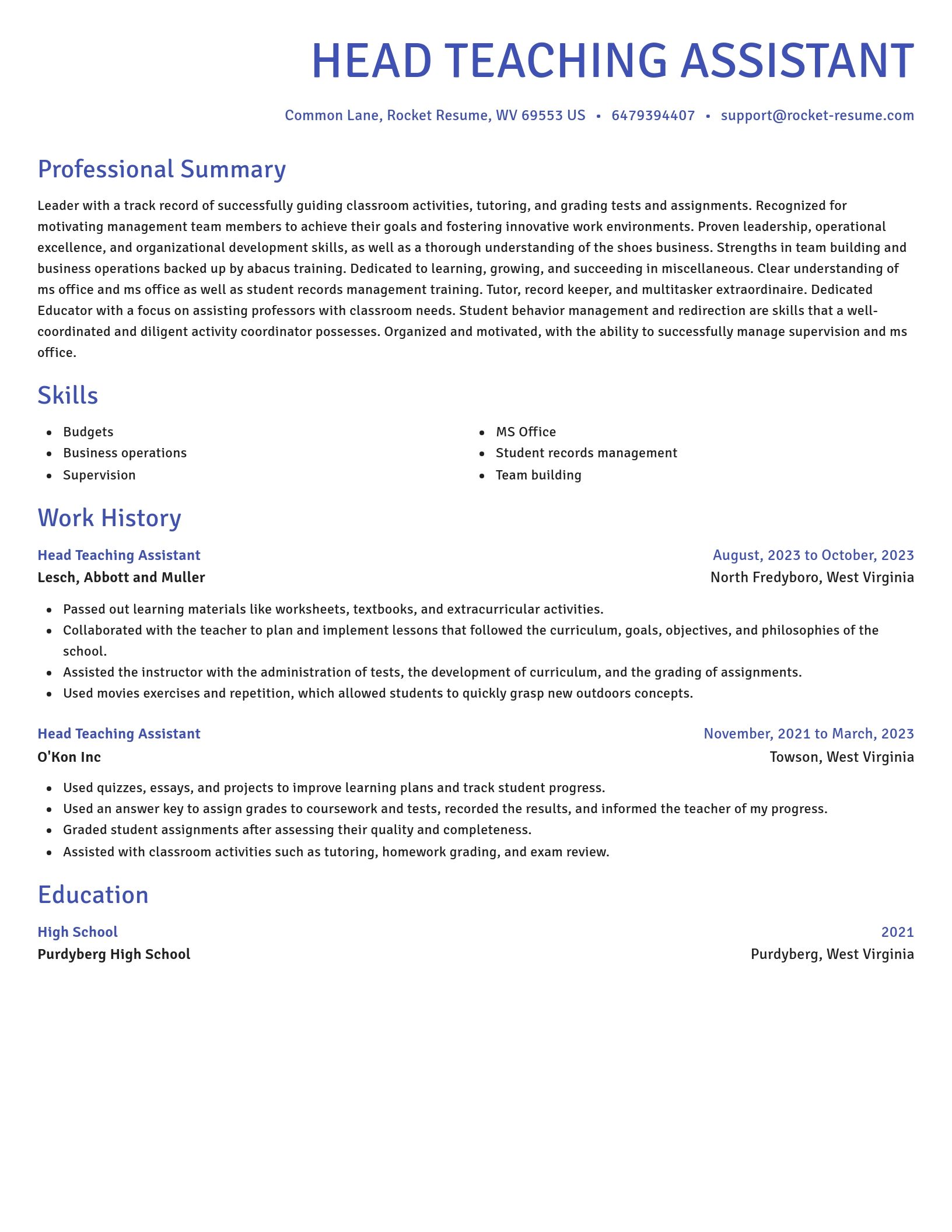 Novel resume template