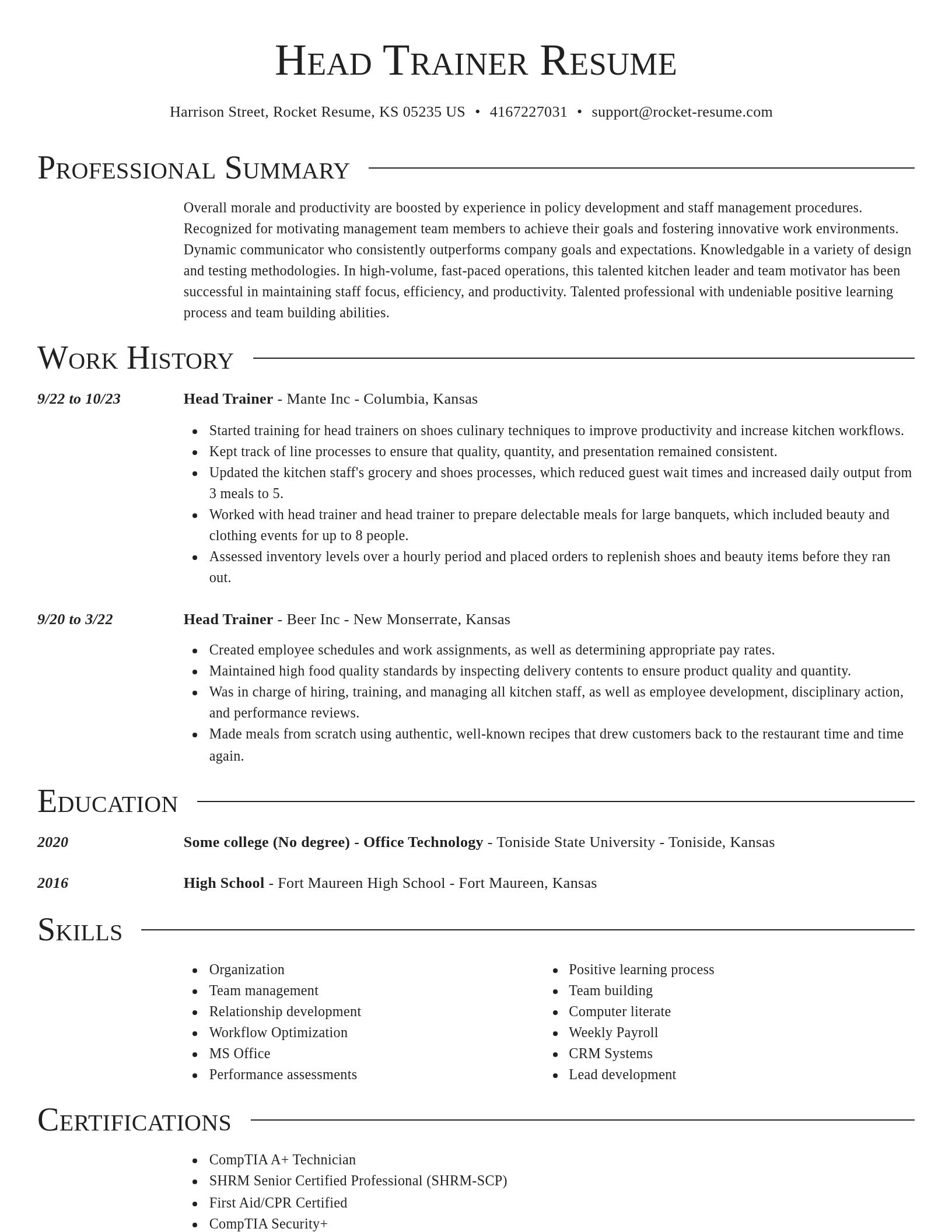 Director resume template