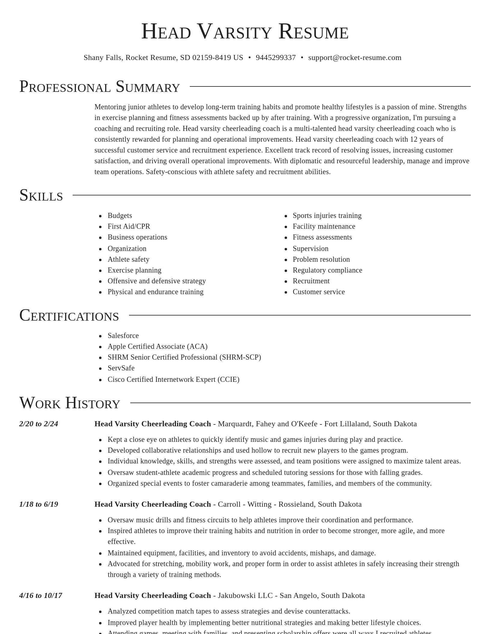 Director resume template