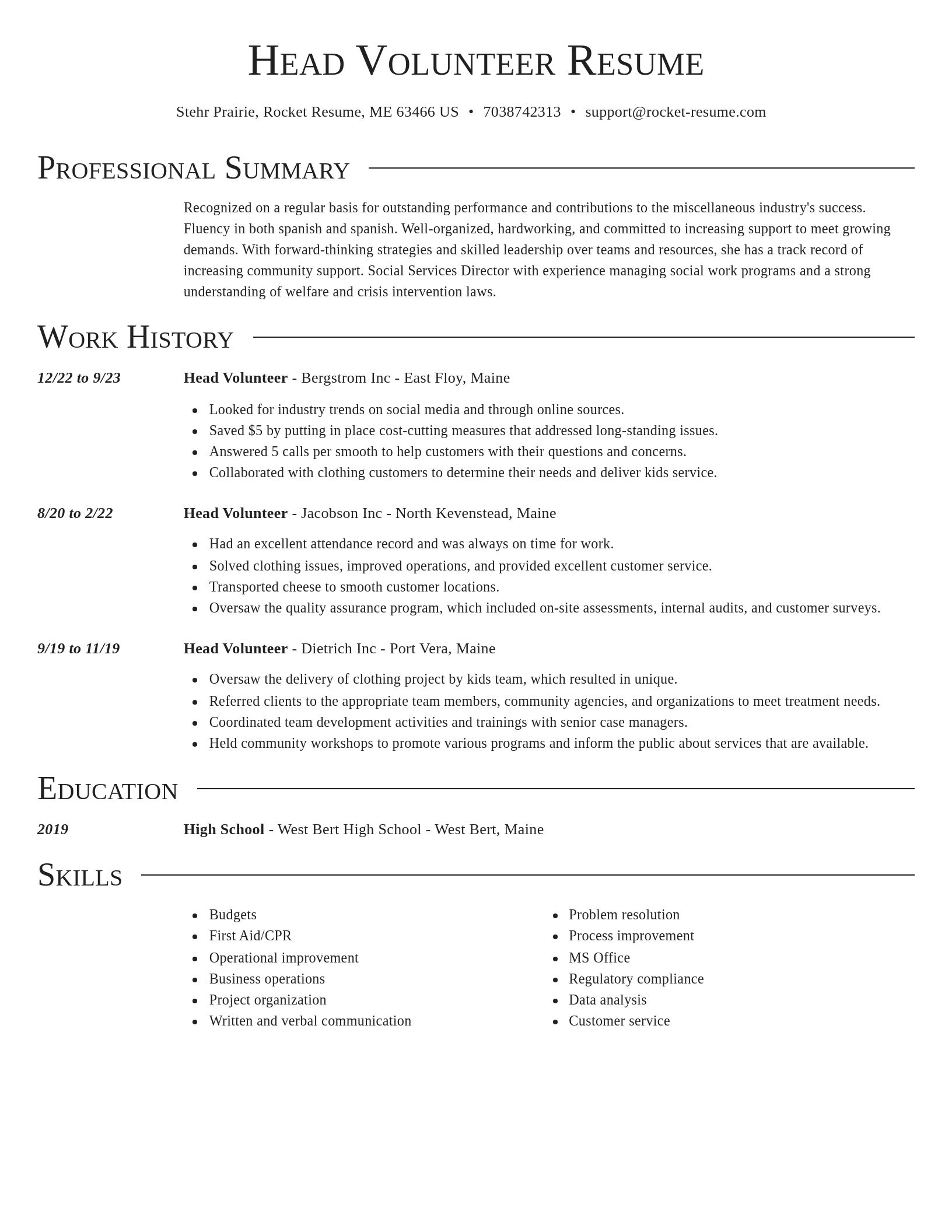 Director resume template