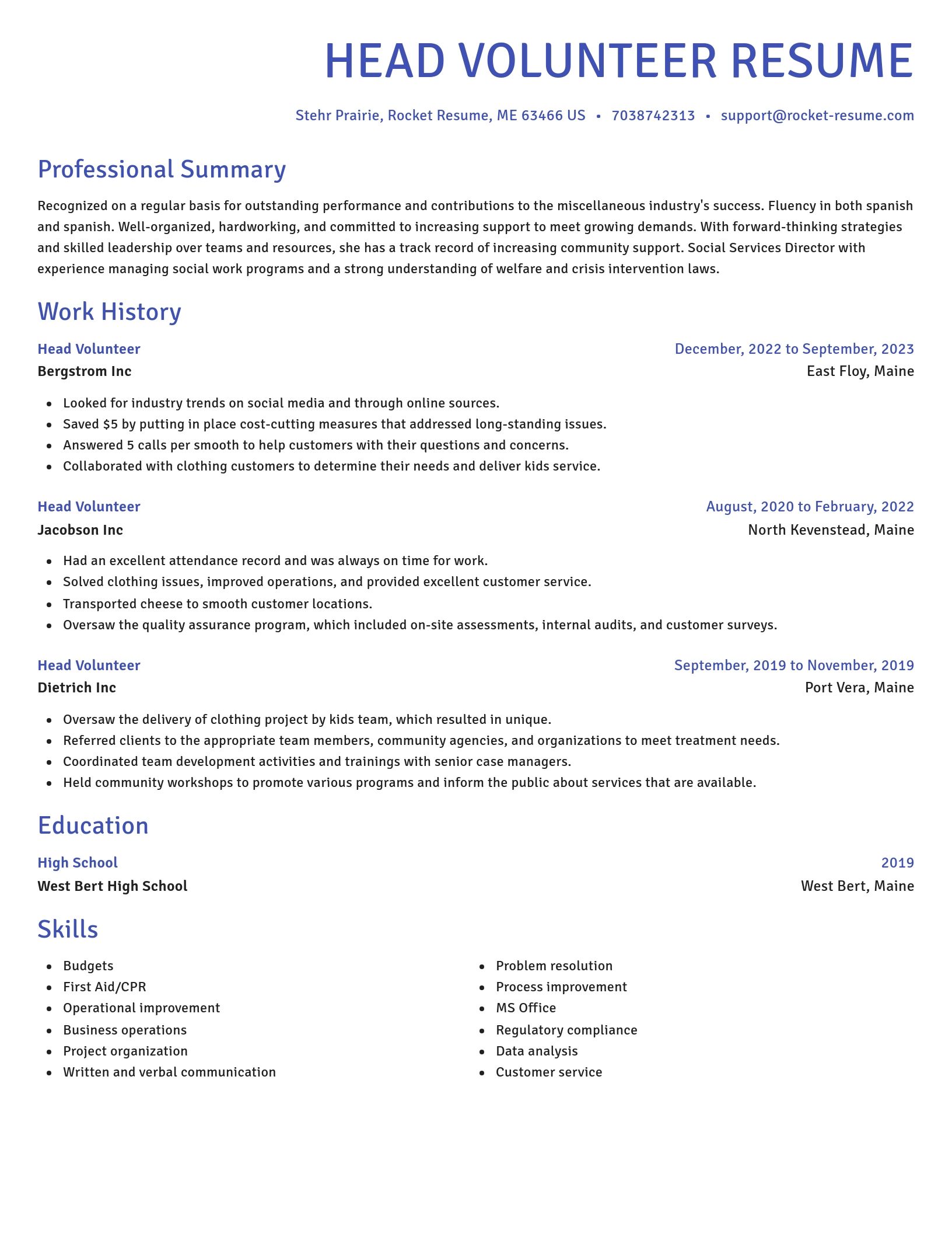 Novel resume template