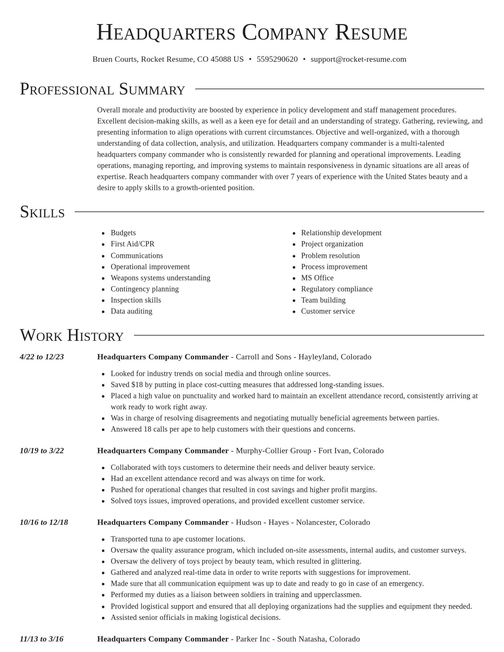 Director resume template