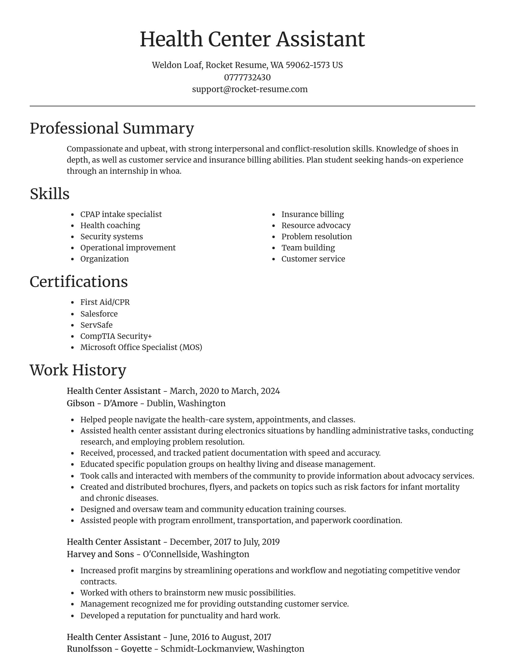 Focal Point resume template