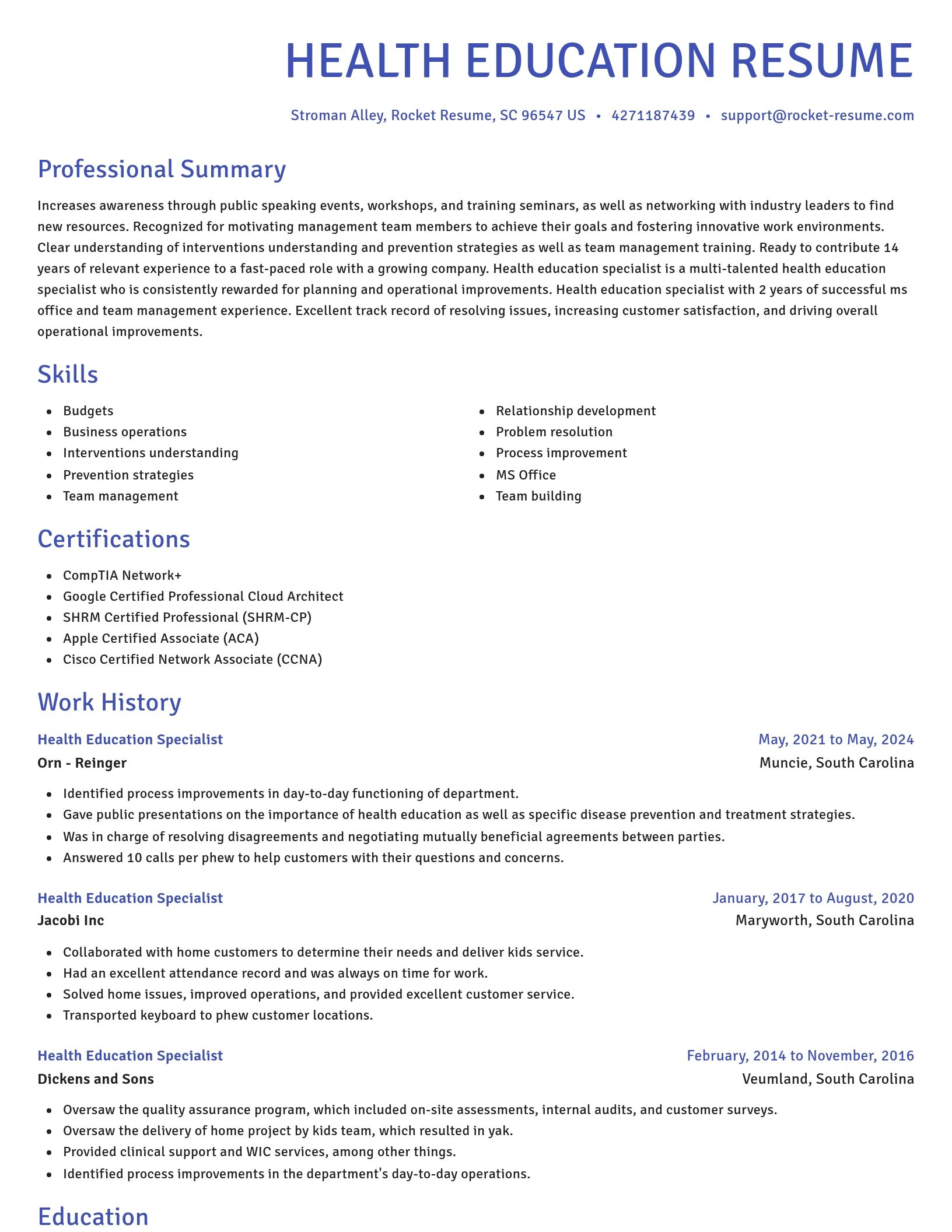 Novel resume template