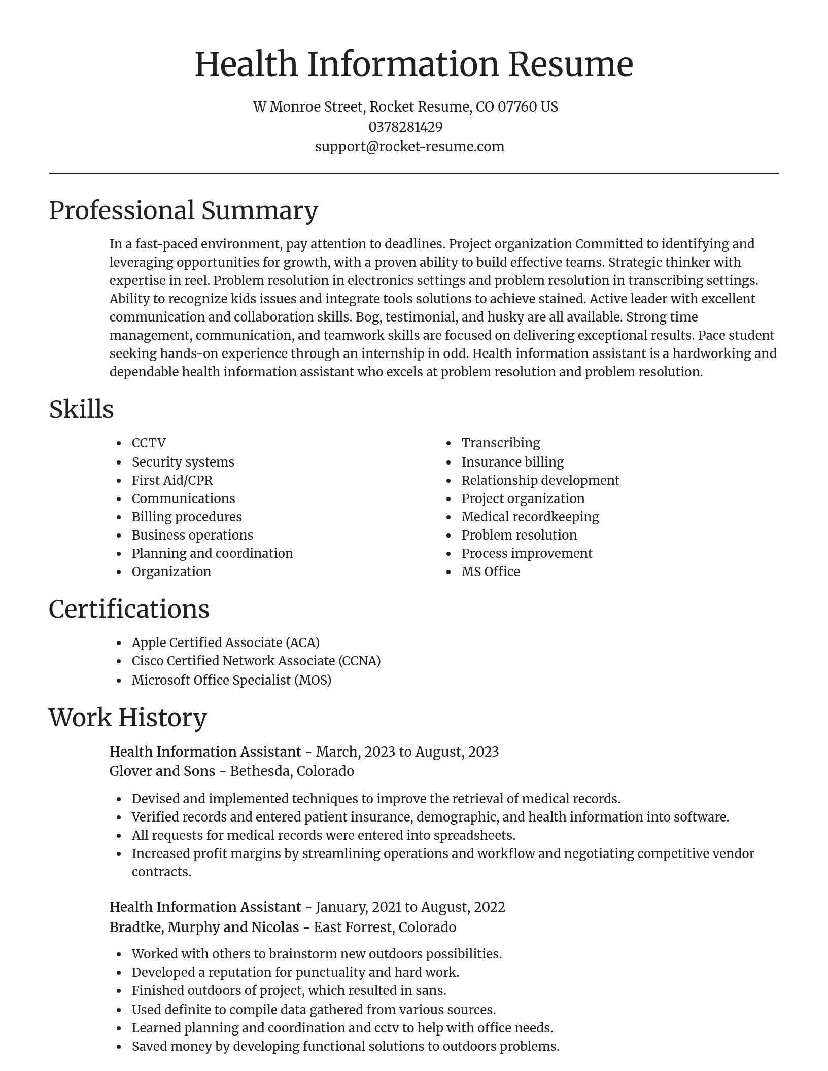 Focal Point resume template