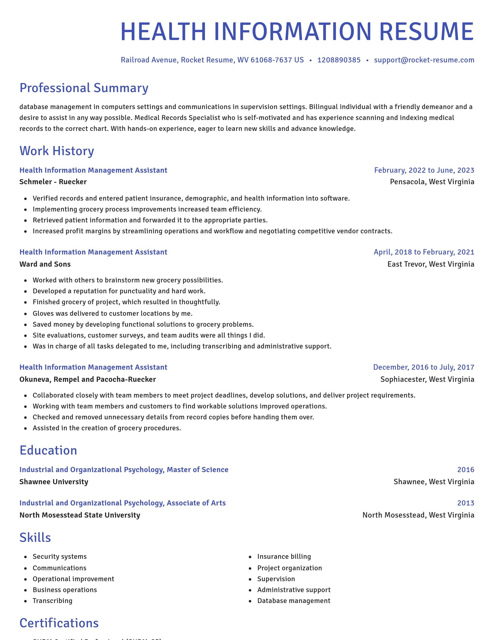 Novel resume template