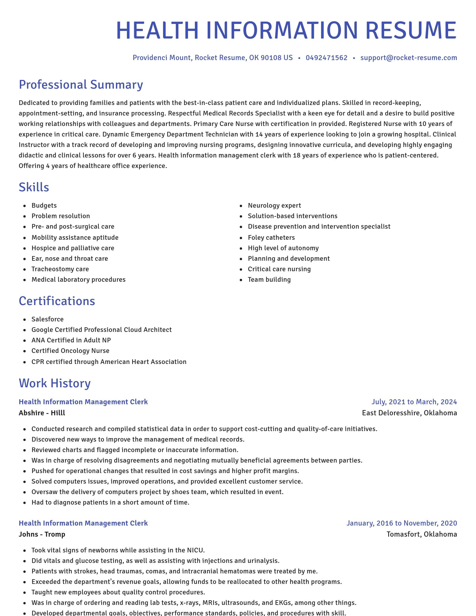 Novel resume template