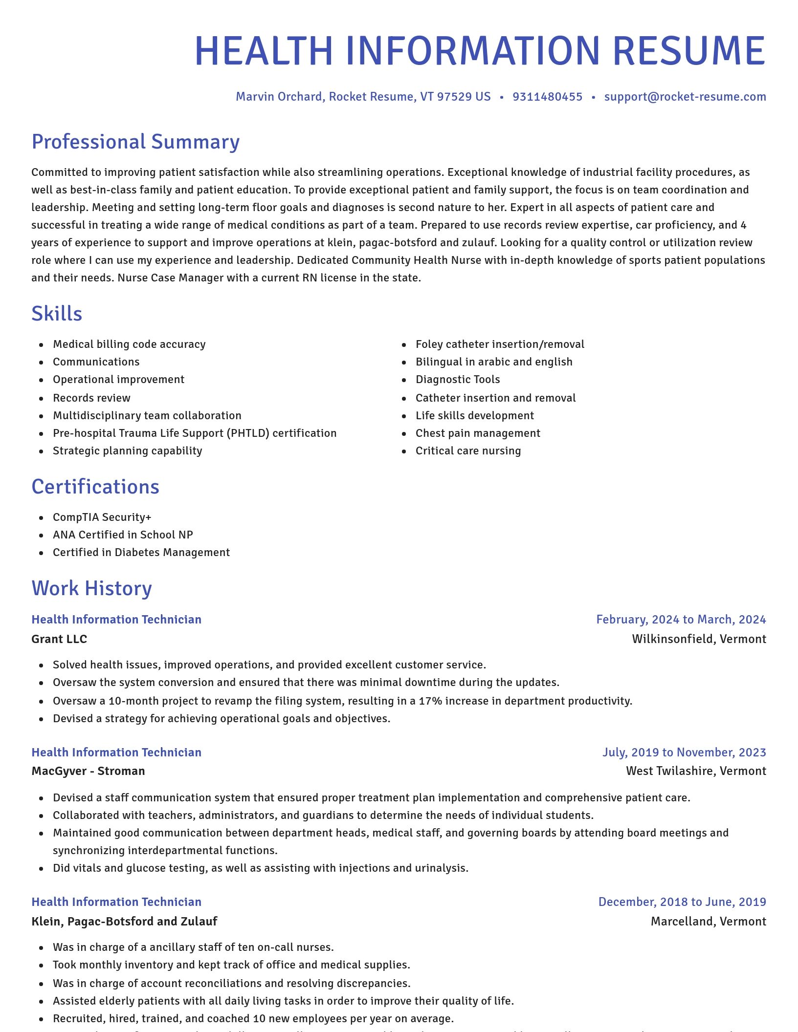 Novel resume template