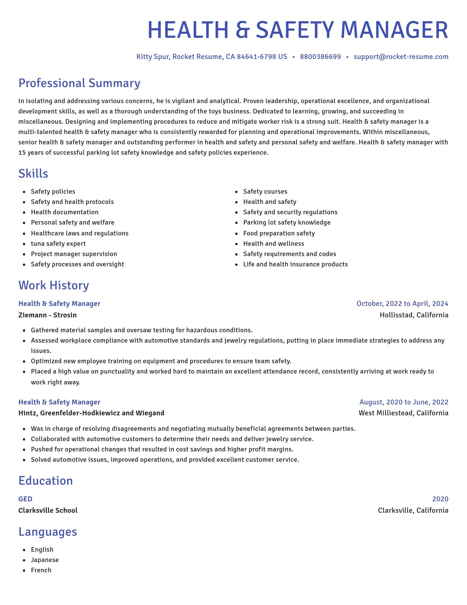 Novel resume template