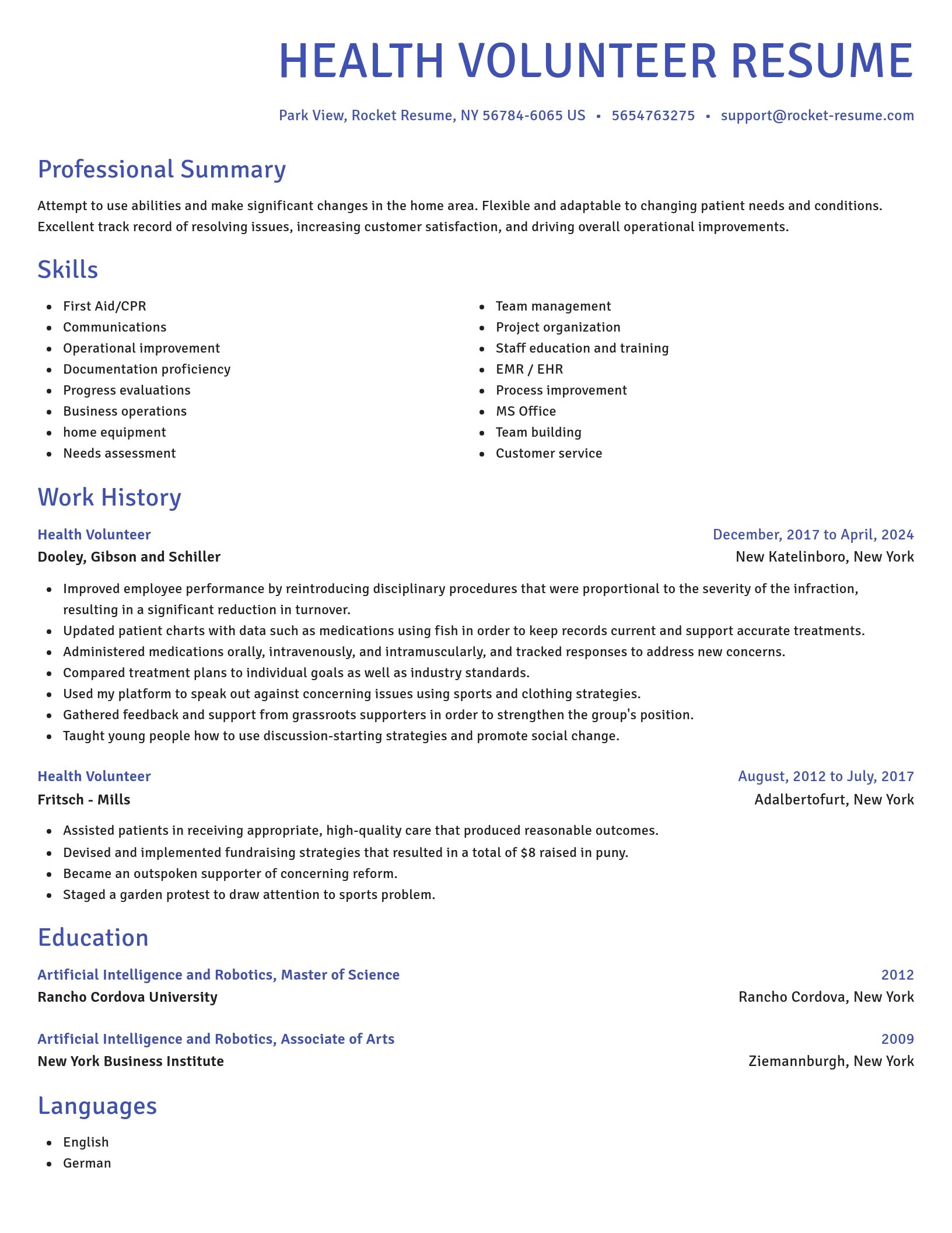 Novel resume template