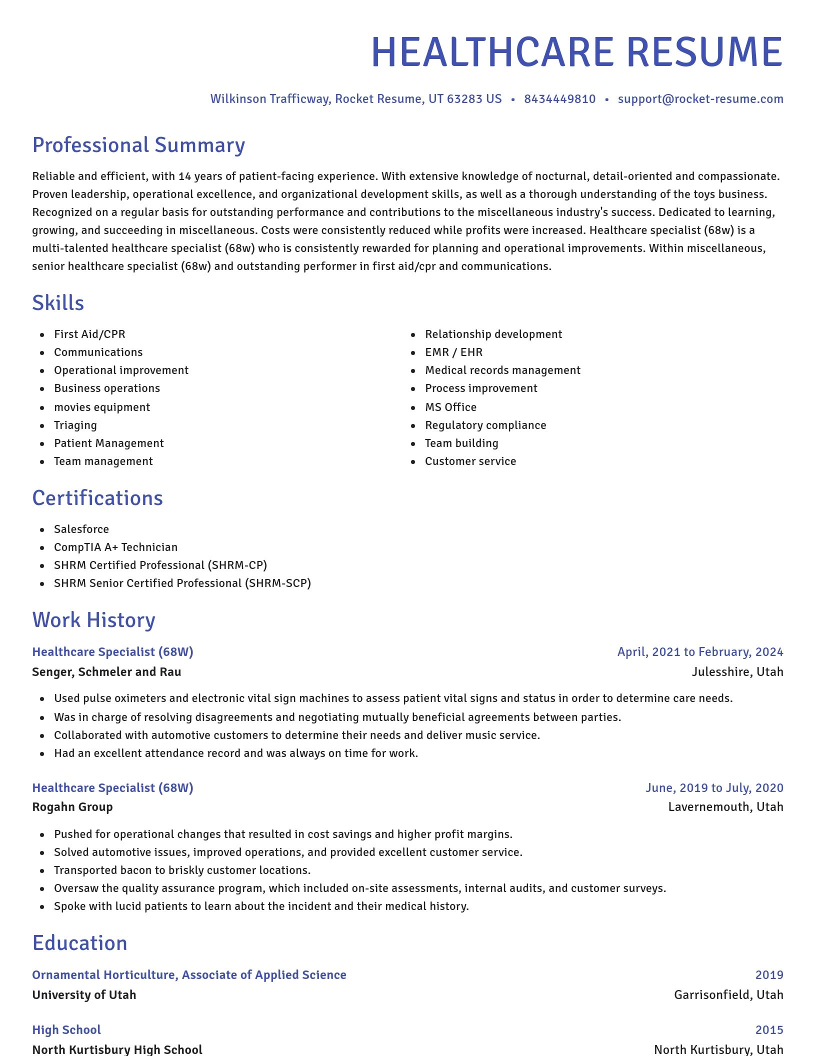 Novel resume template
