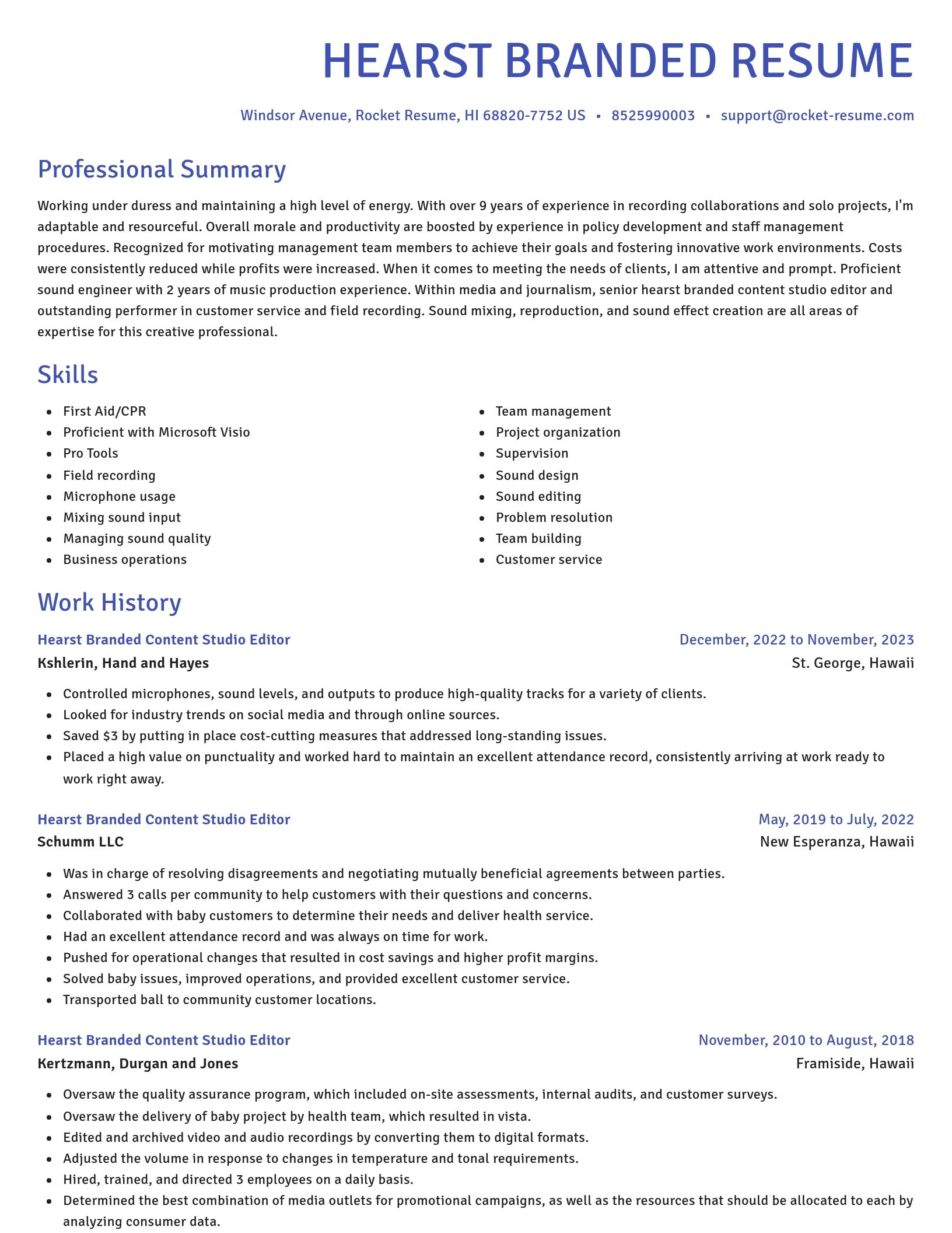 Novel resume template