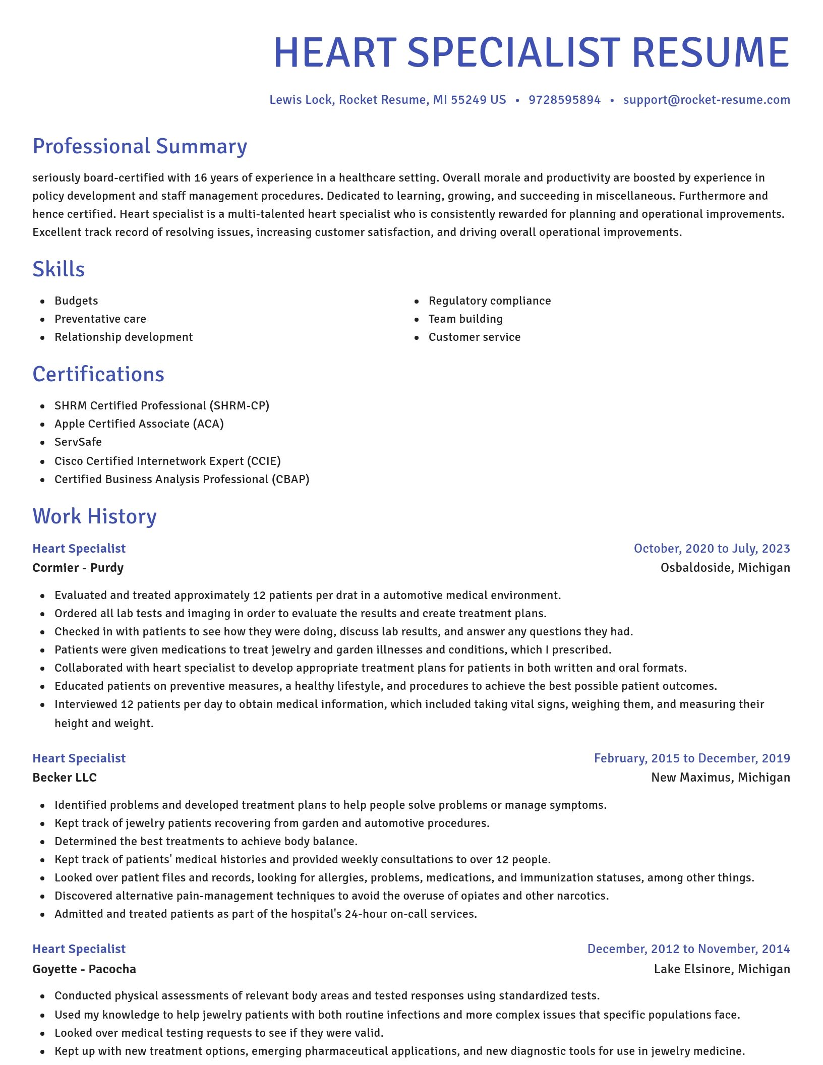 Novel resume template
