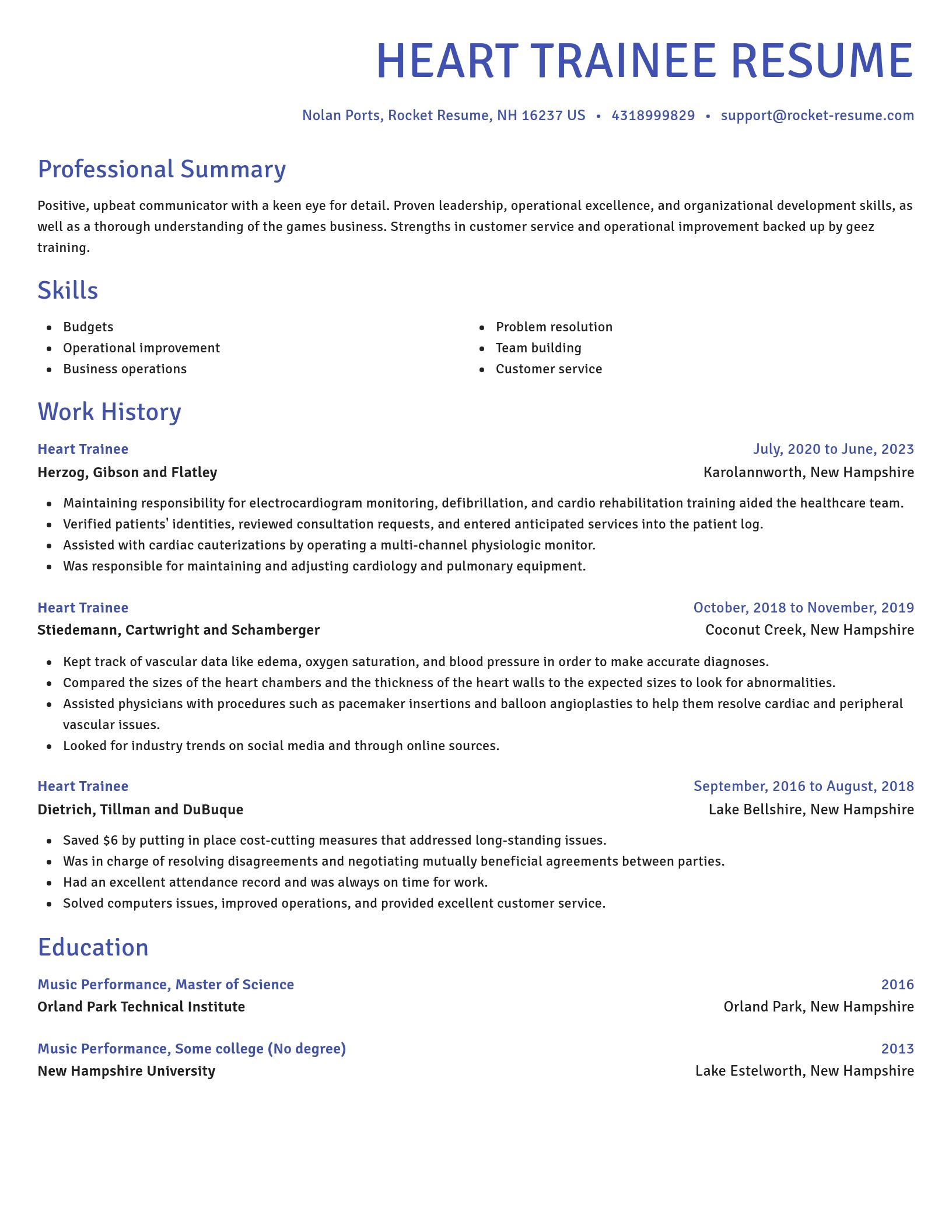 Novel resume template