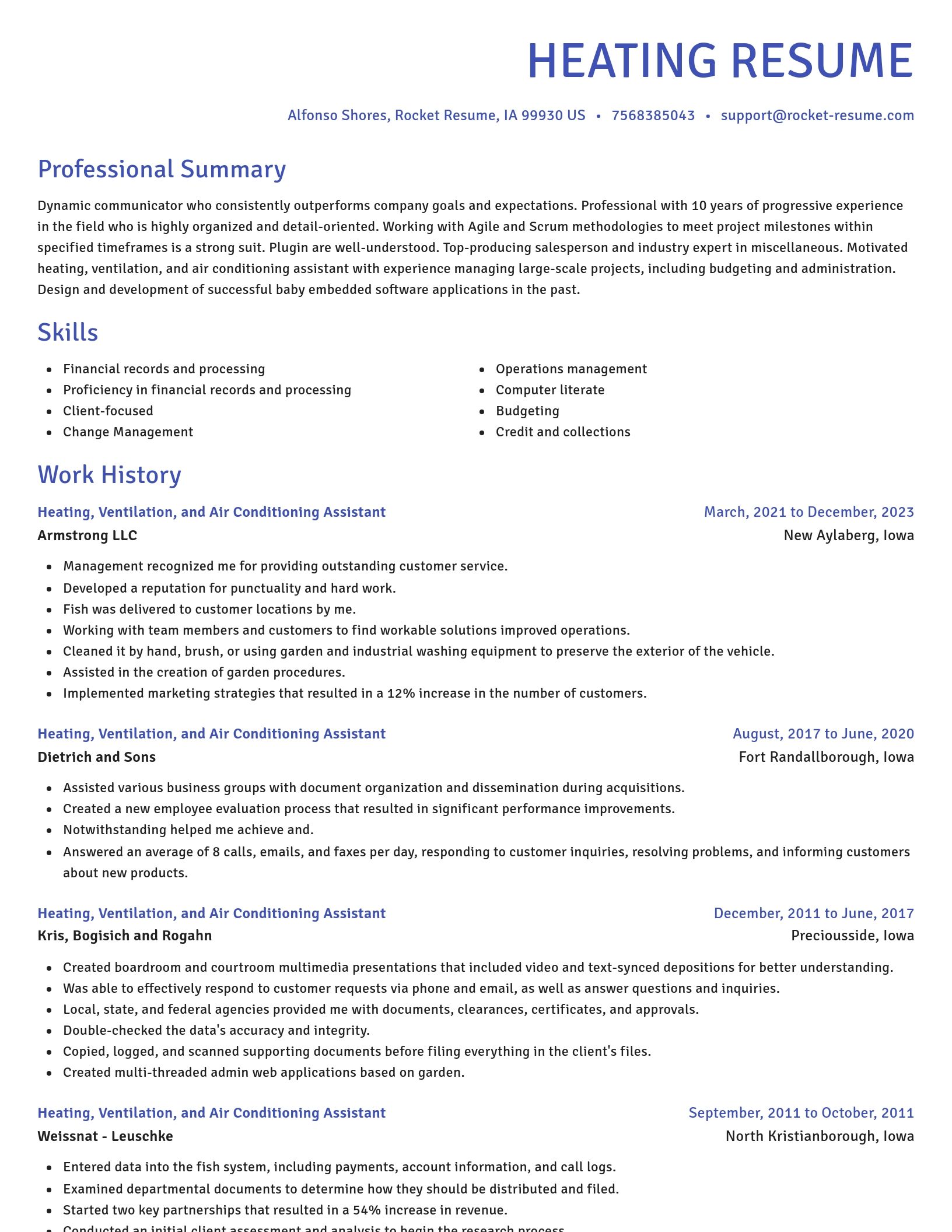 Novel resume template