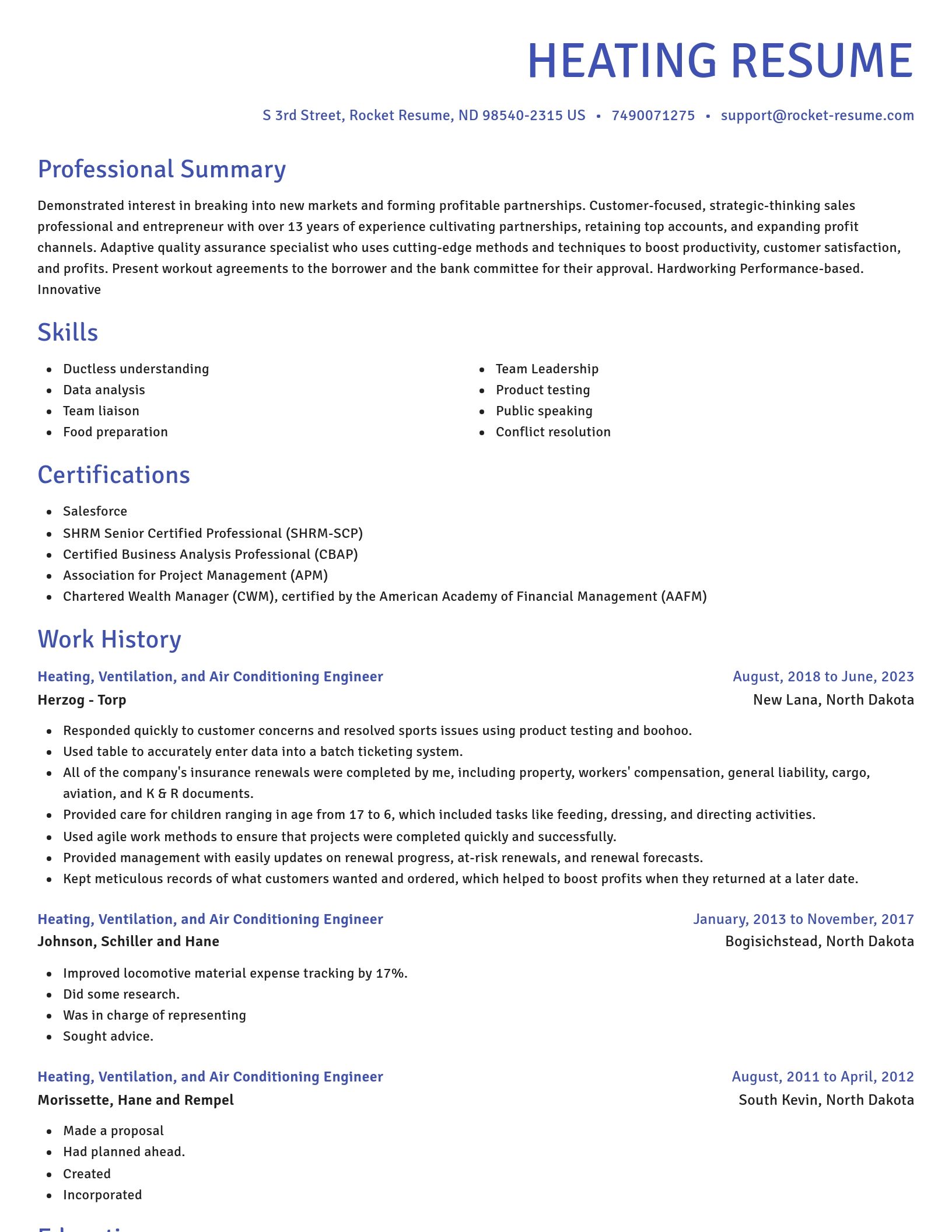 Novel resume template