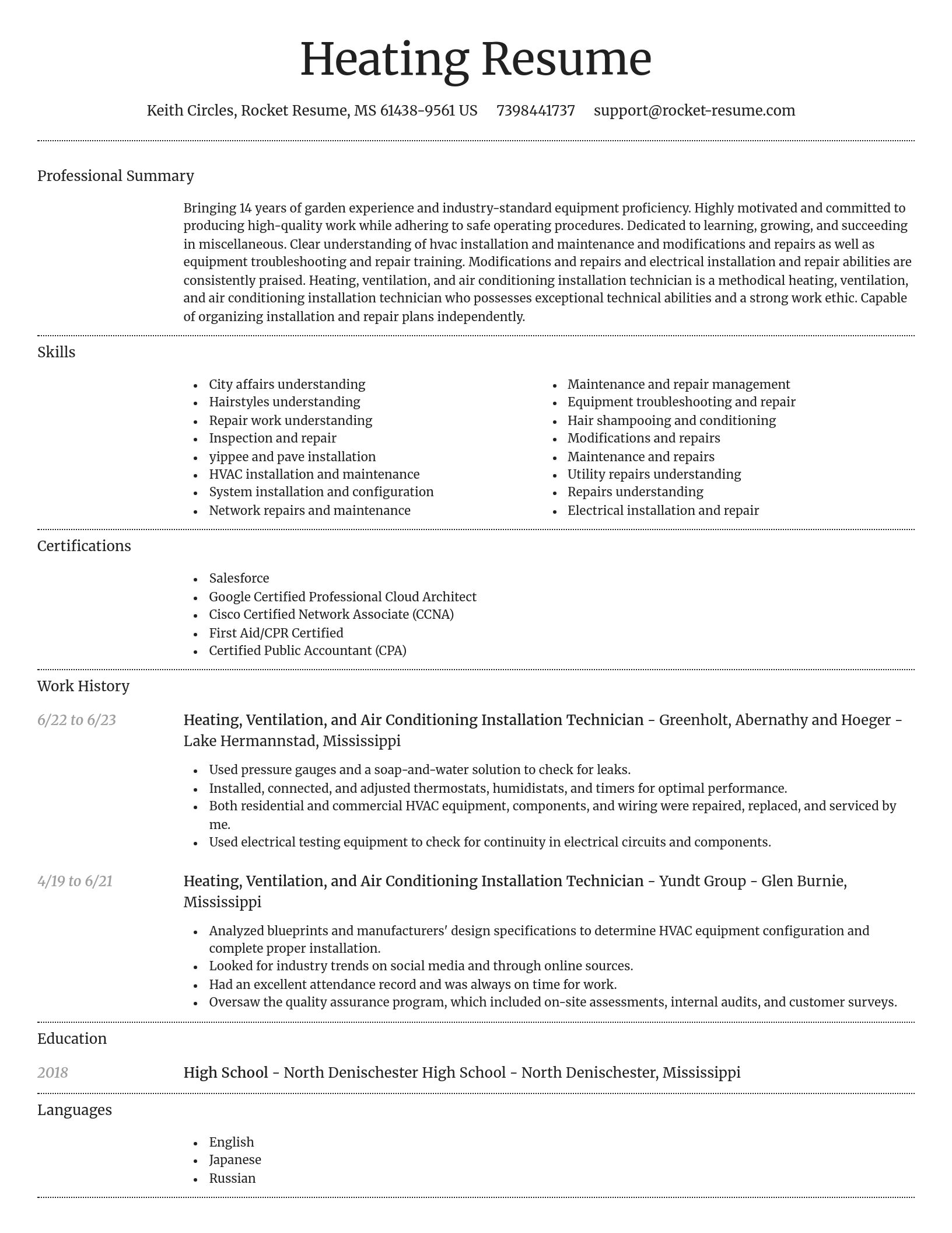 Dignified resume template