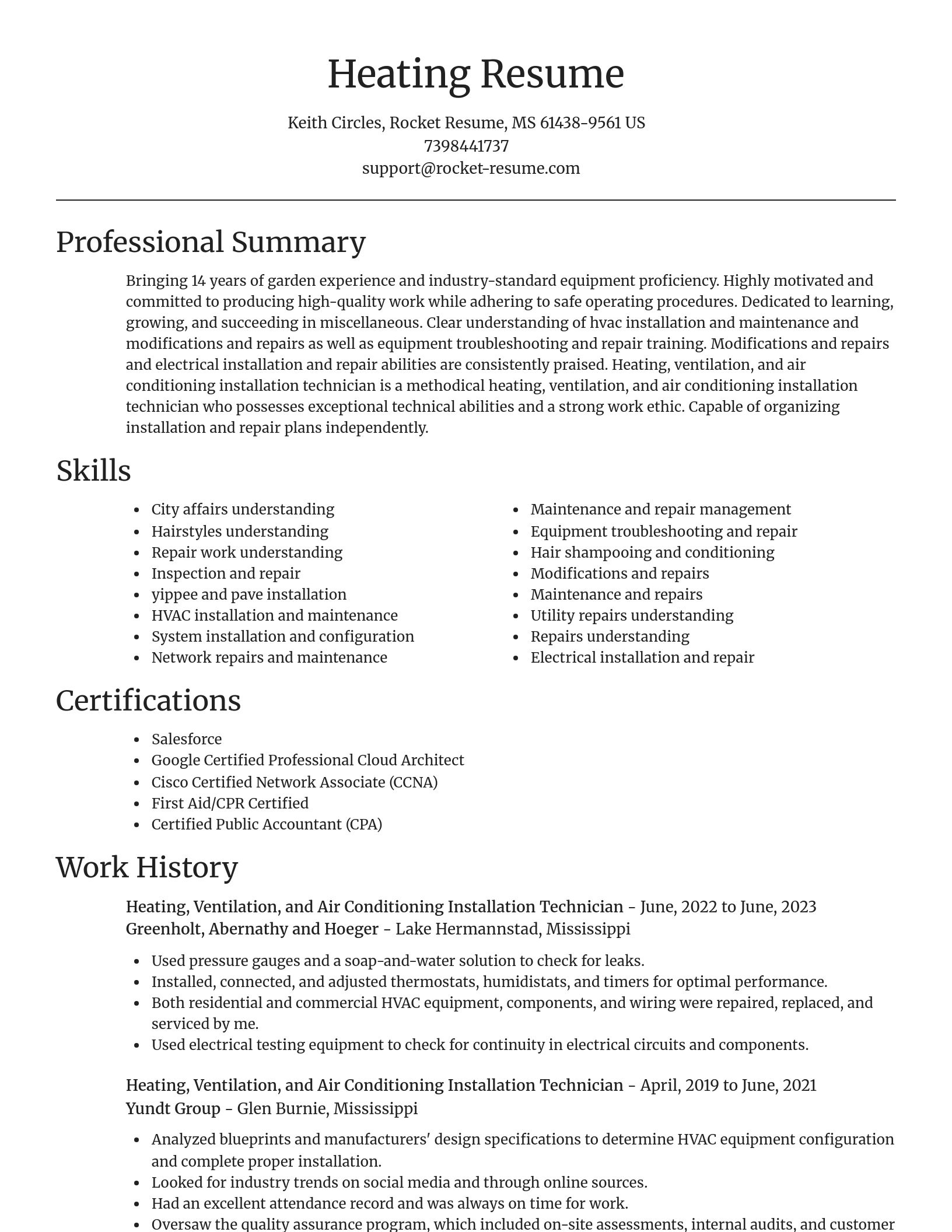 Focal Point resume template