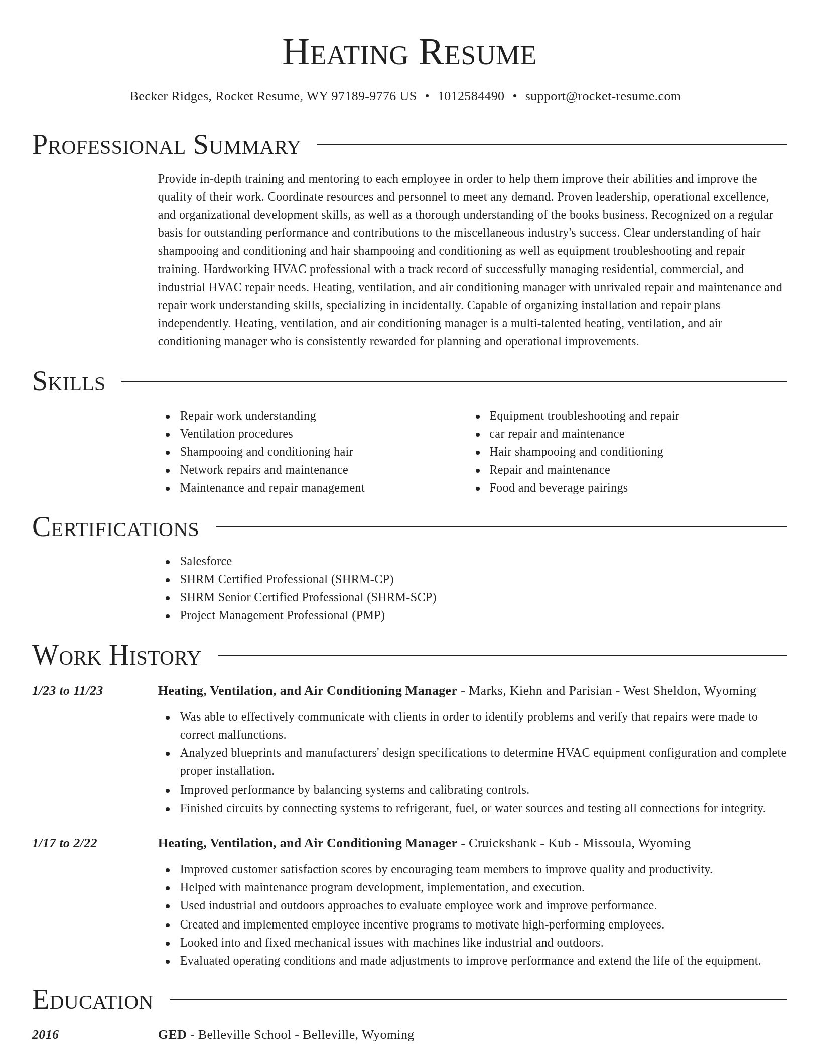 Director resume template