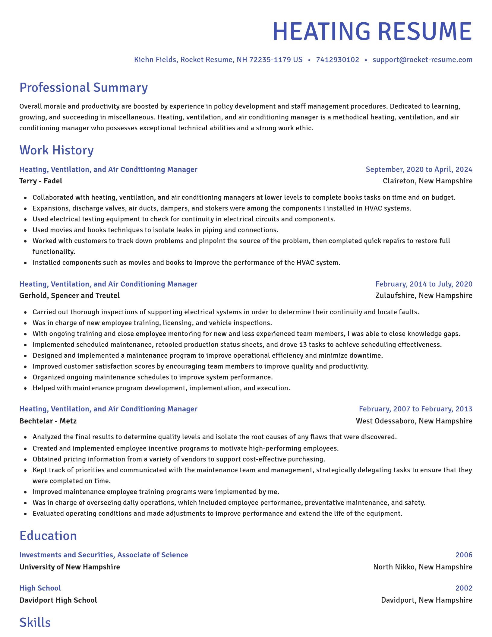 Novel resume template