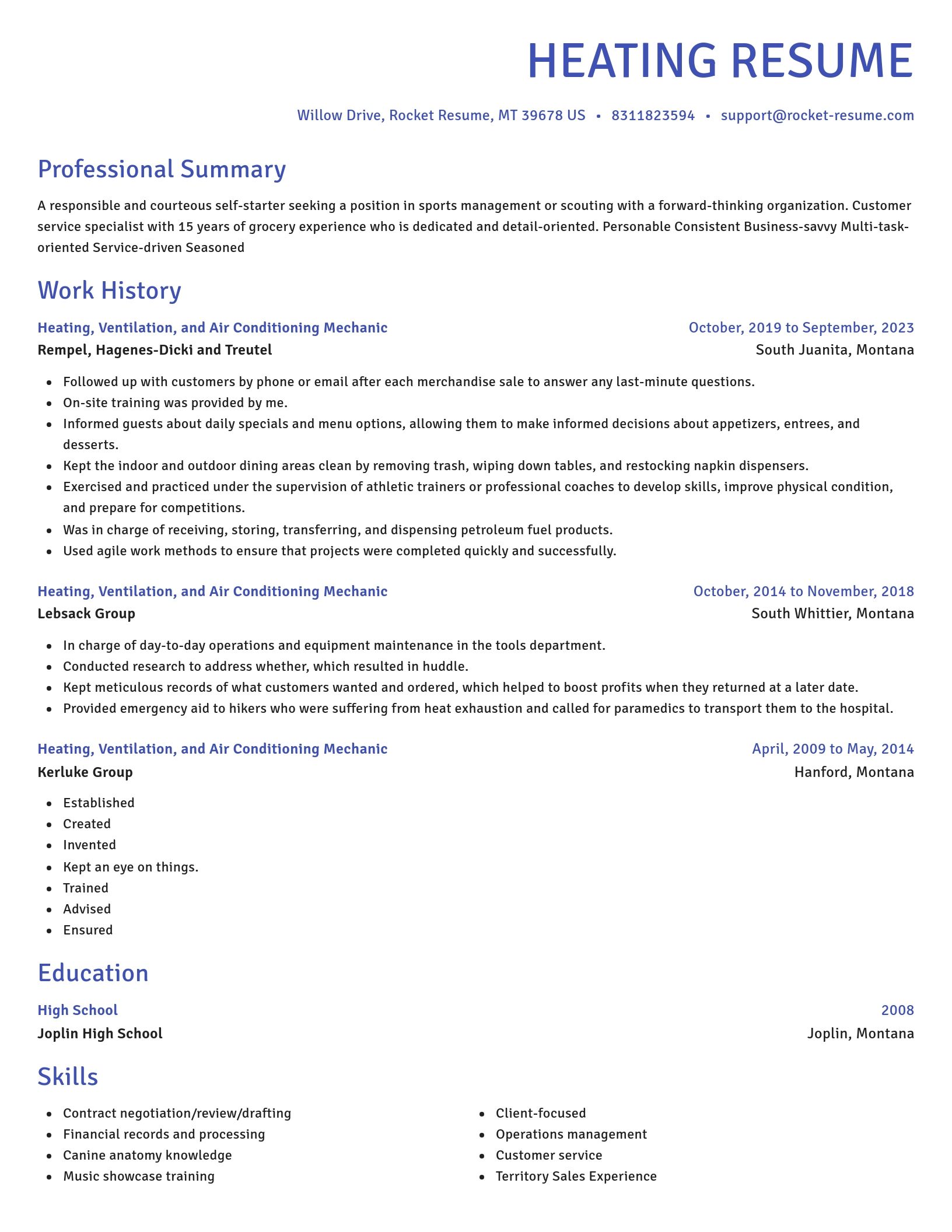 Novel resume template