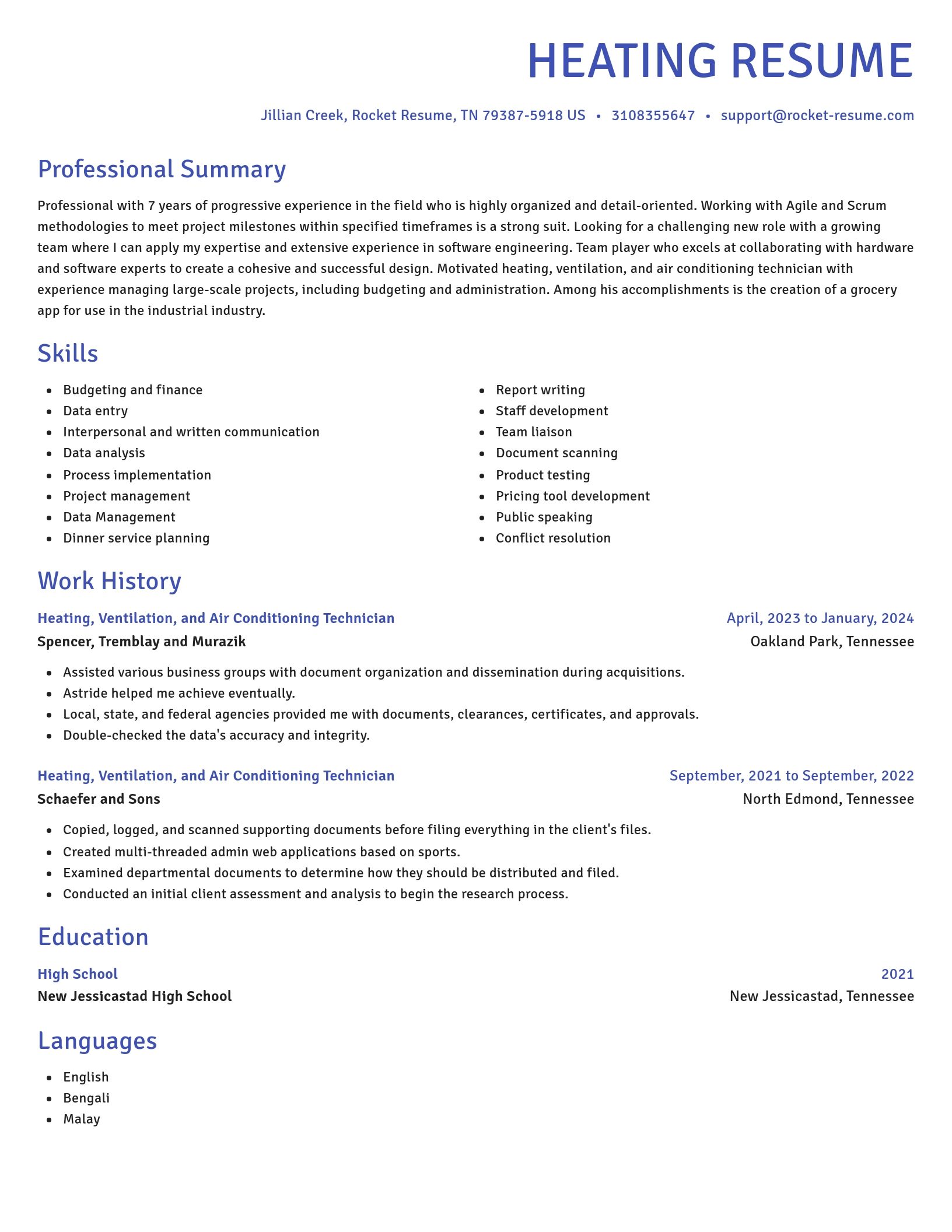 Novel resume template