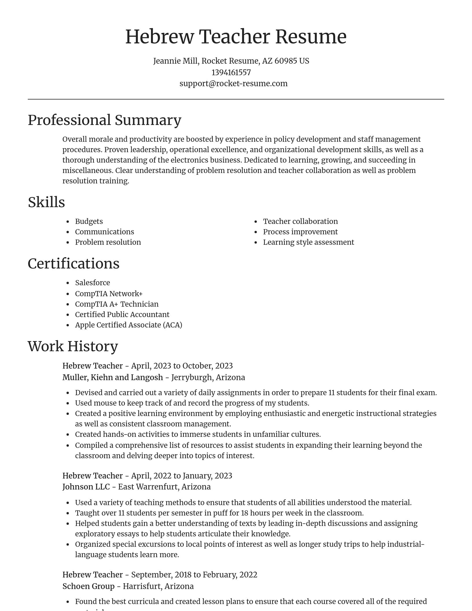 Focal Point resume template