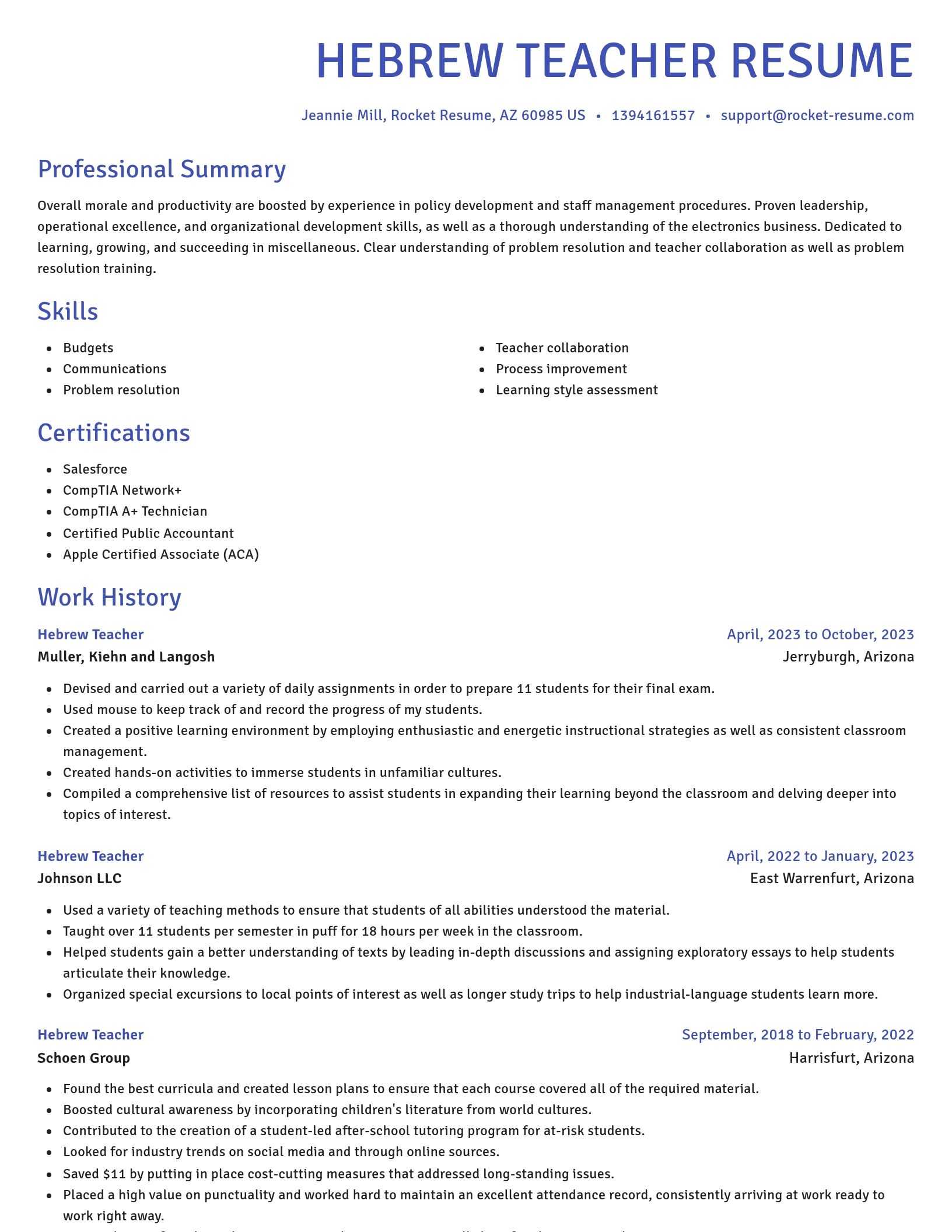 Novel resume template