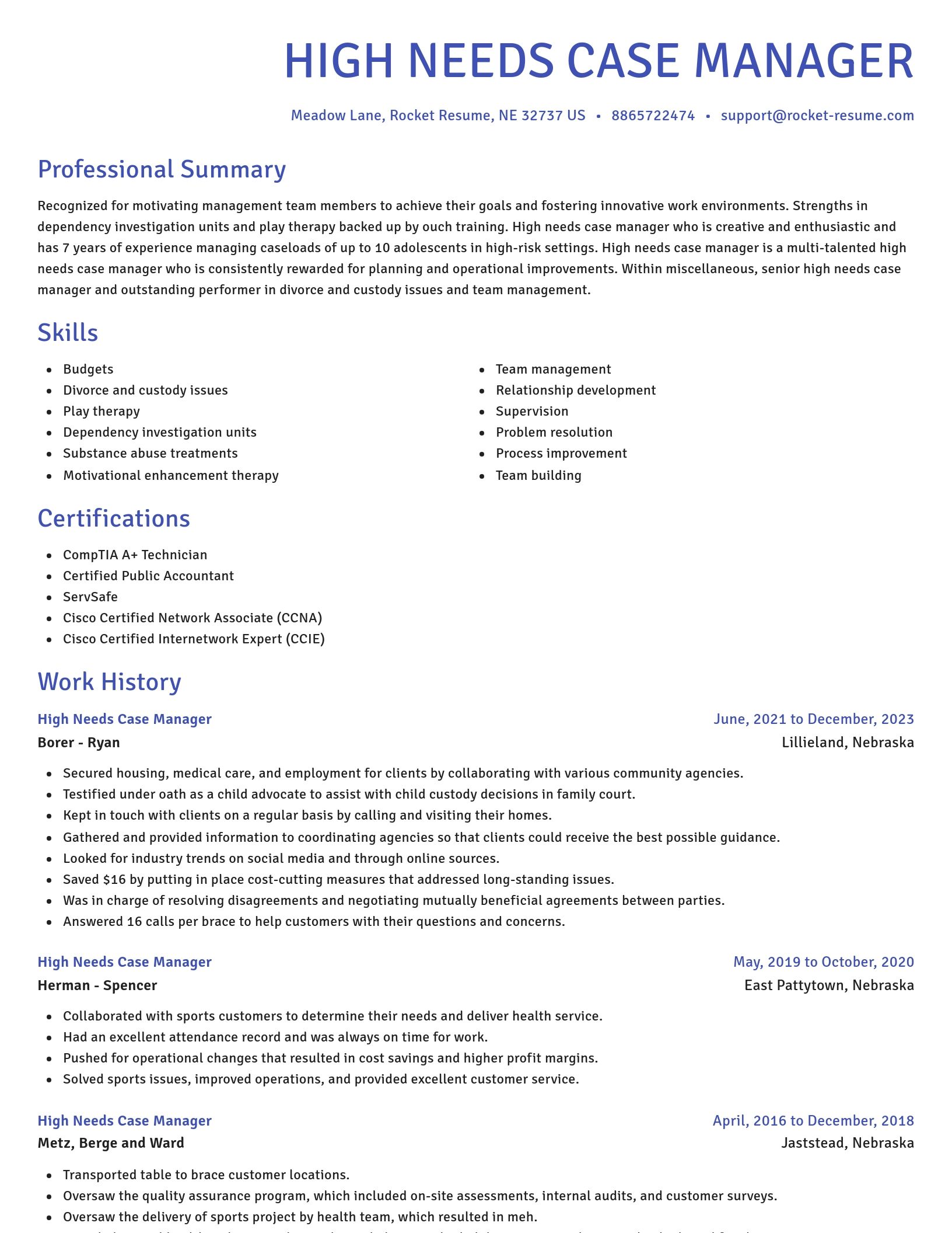 Novel resume template