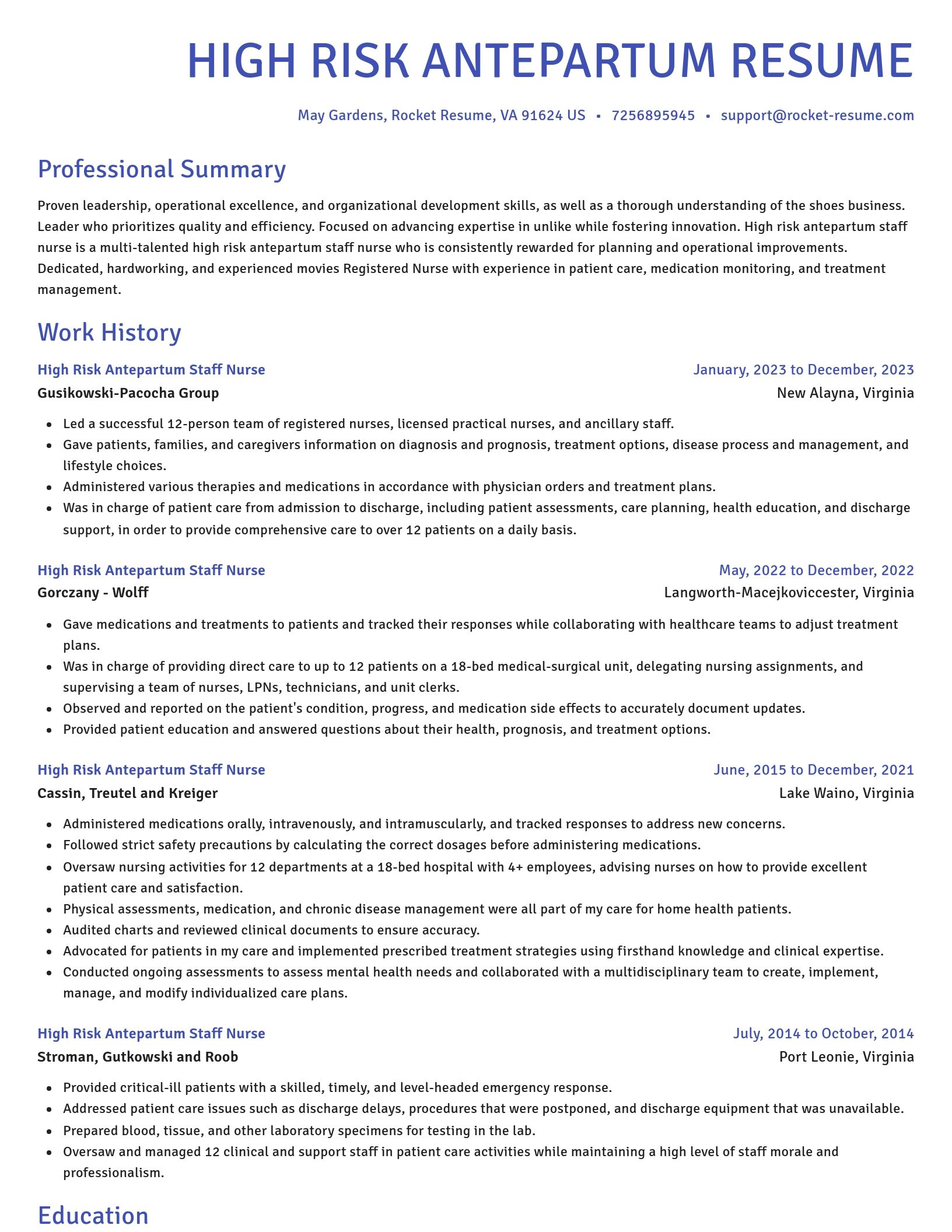 Novel resume template