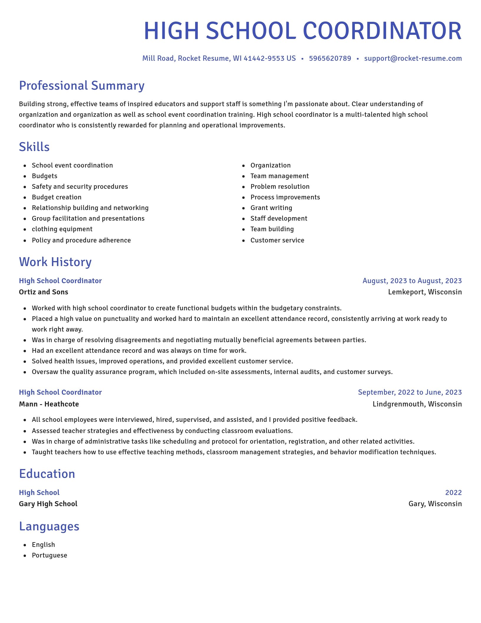 Novel resume template