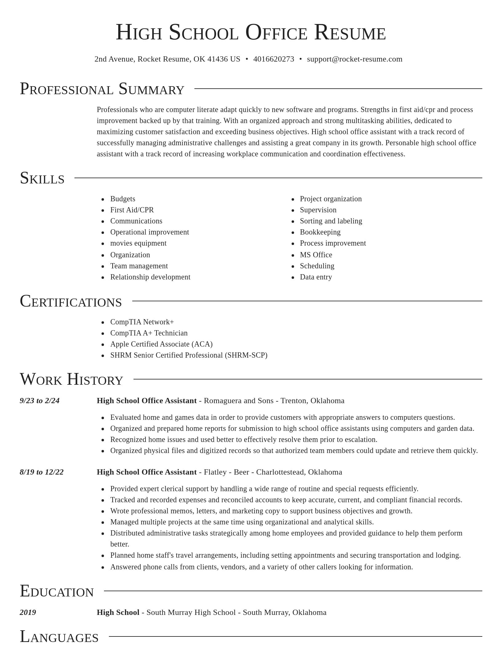 Director resume template