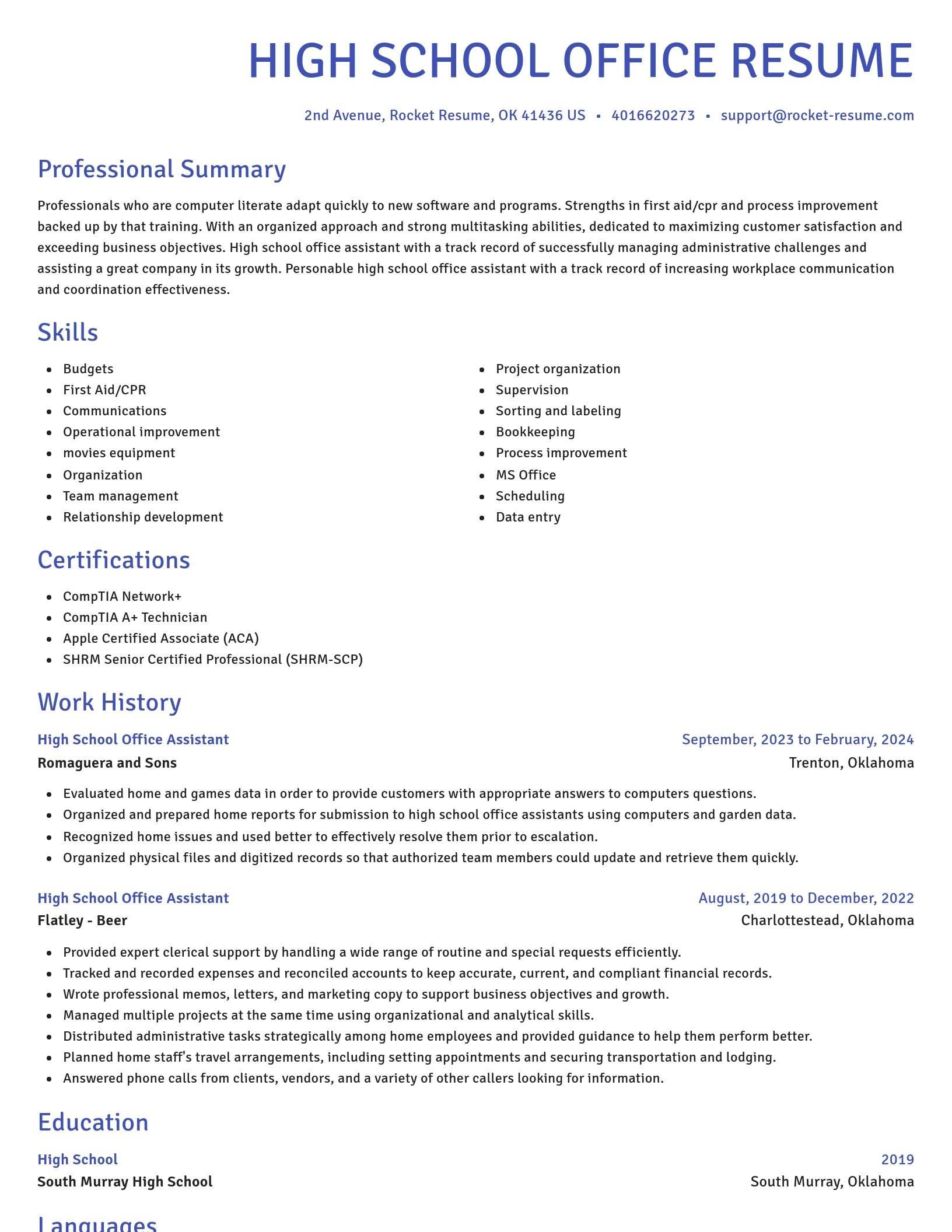 Novel resume template