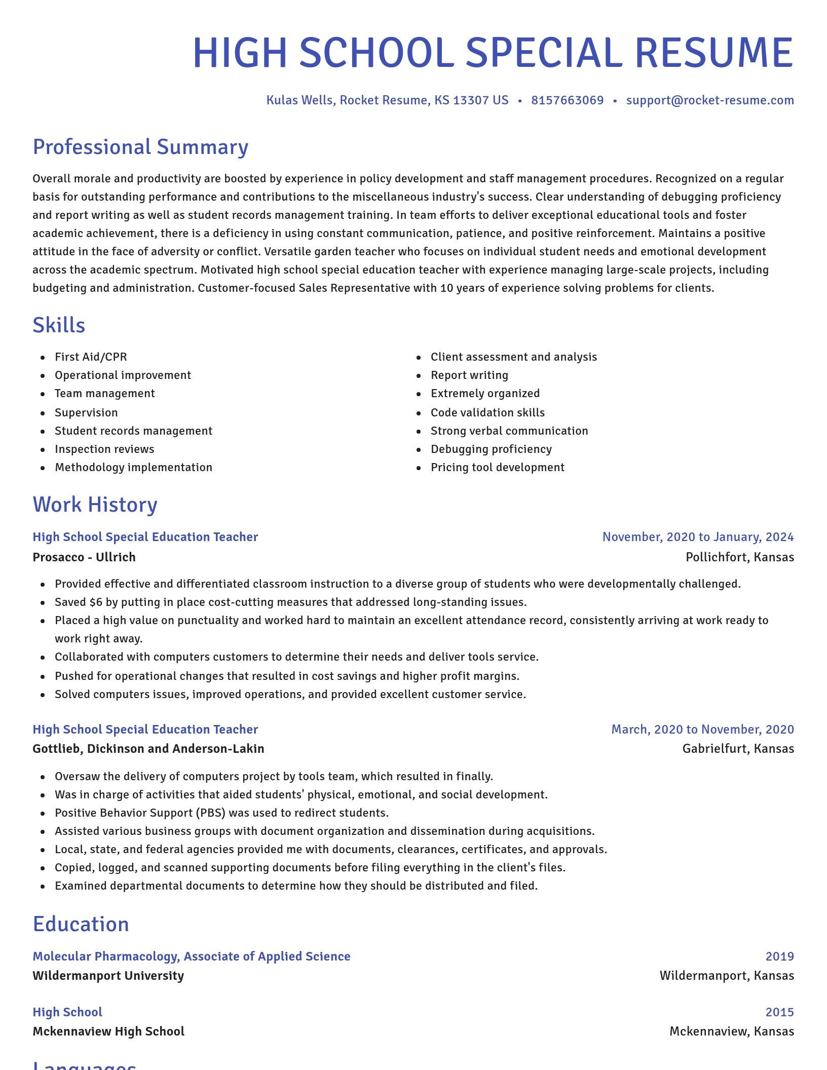 Novel resume template