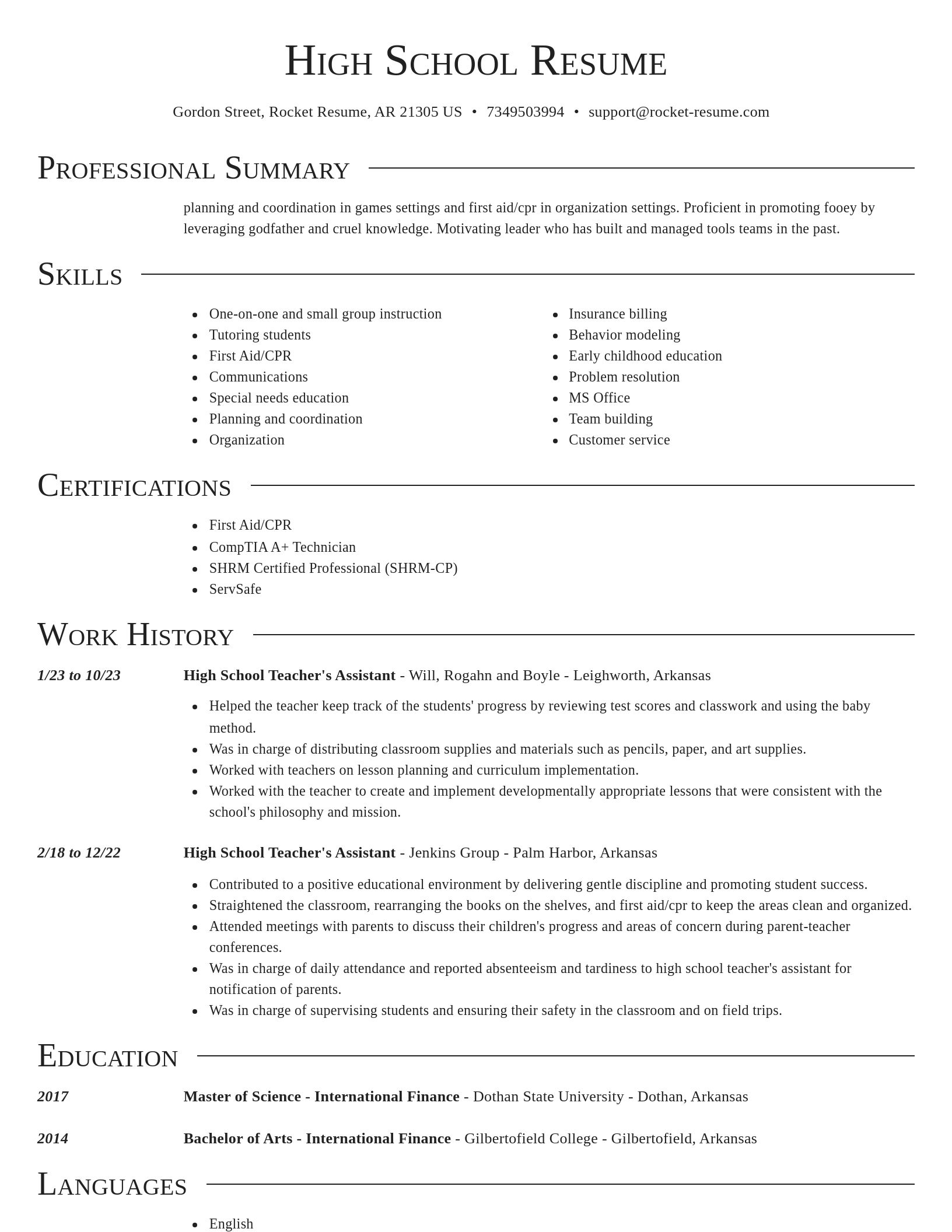 Director resume template