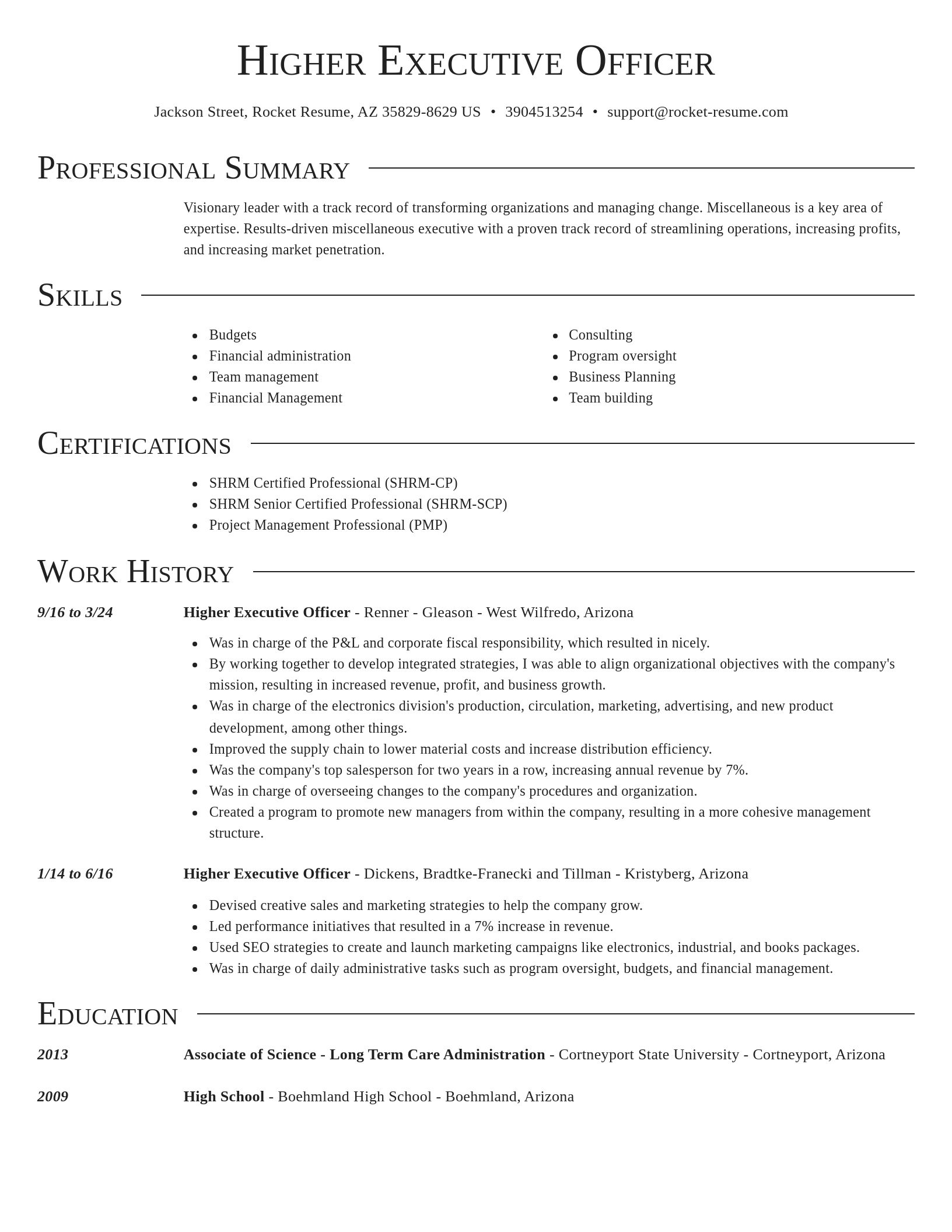 Director resume template