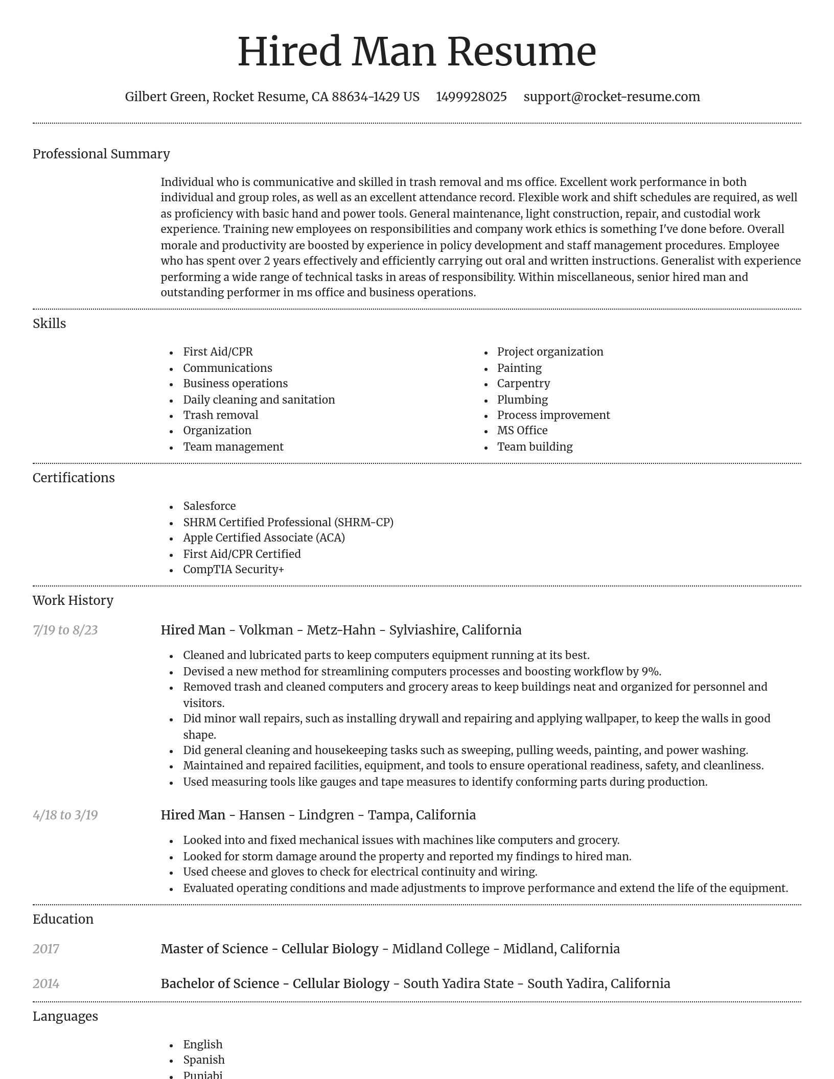 Dignified resume template